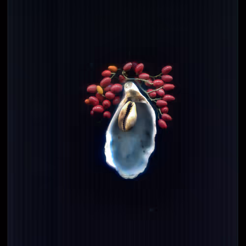 Oyster 5/12