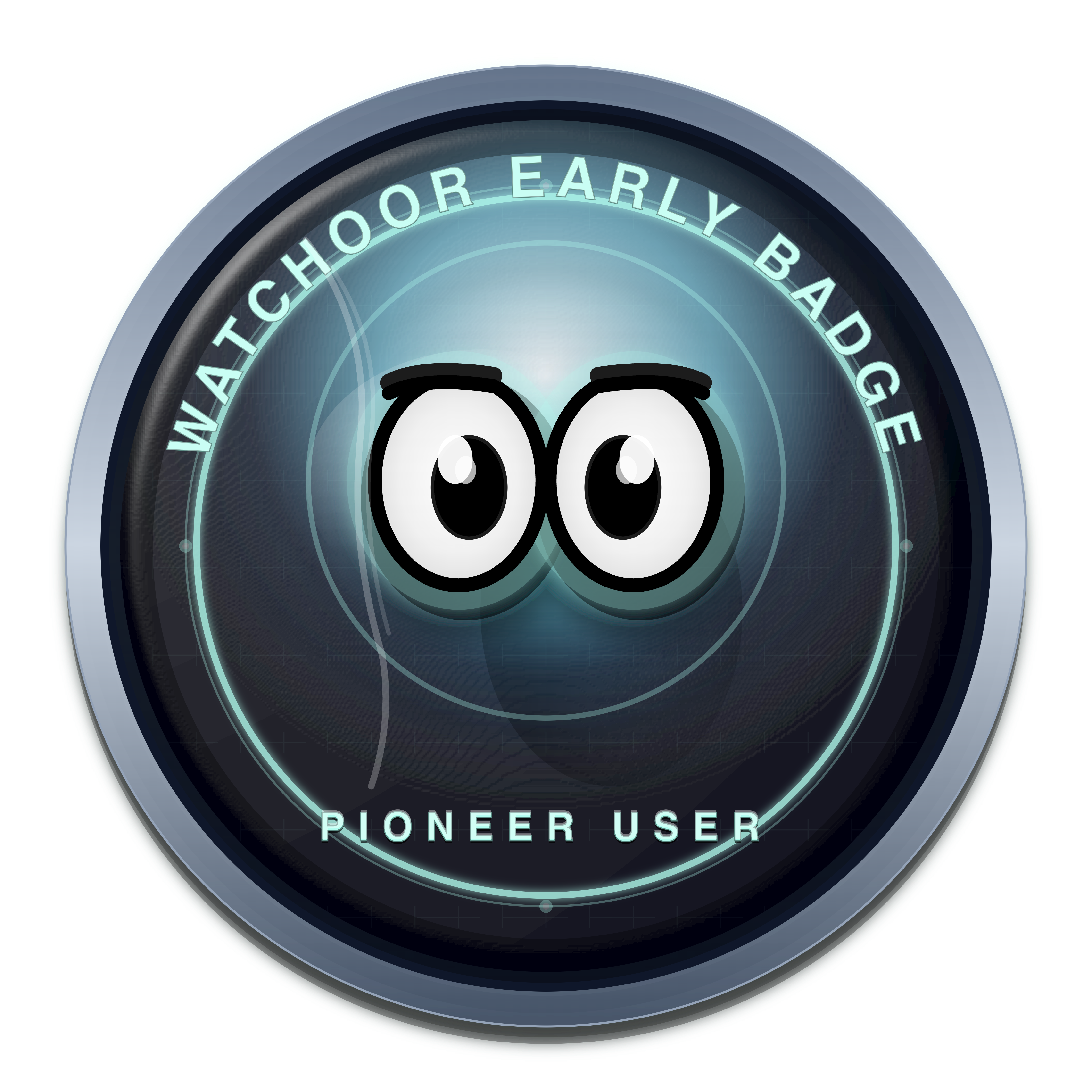 PIONEER USER