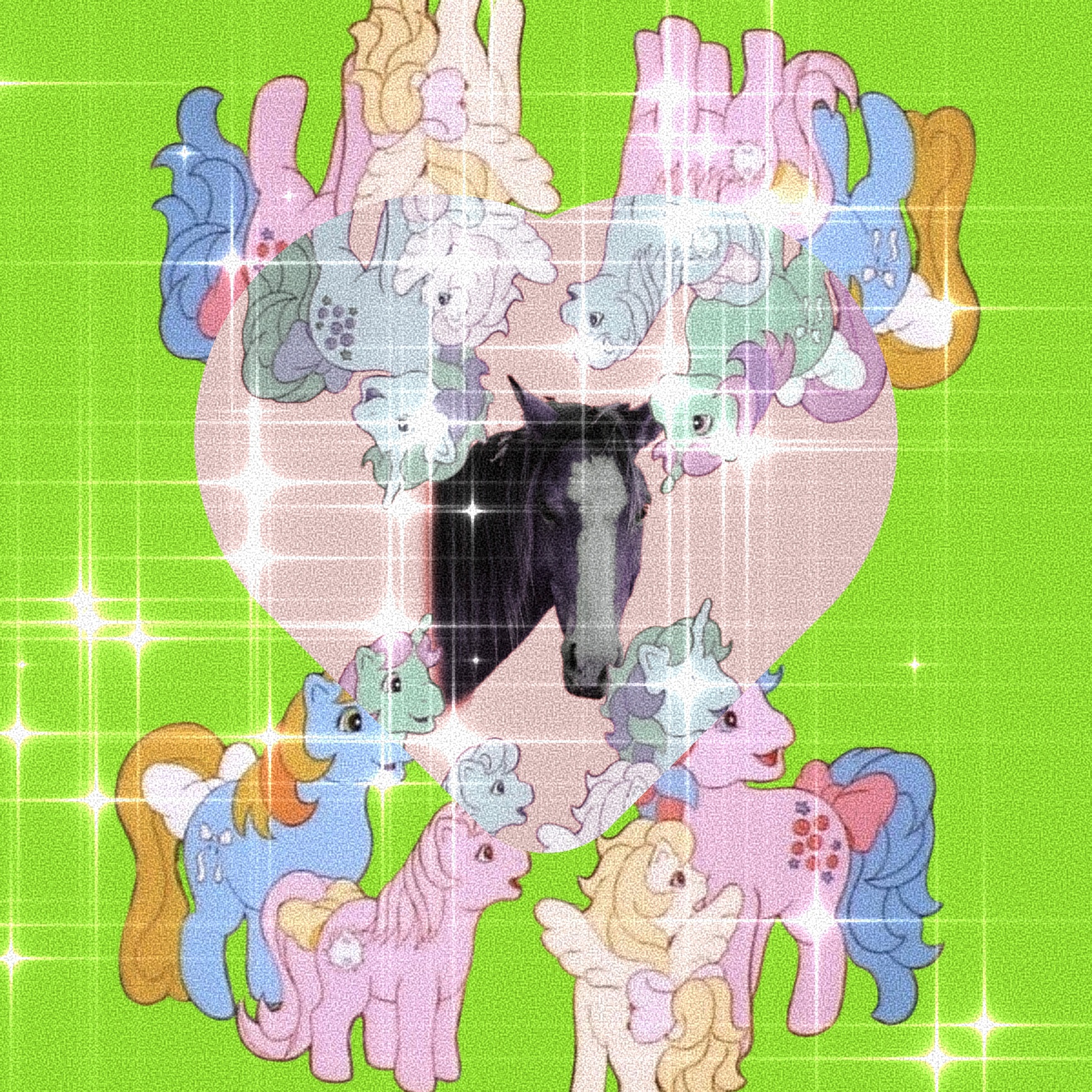 🐎❤️🐎❤️🐎❤️🐎❤️