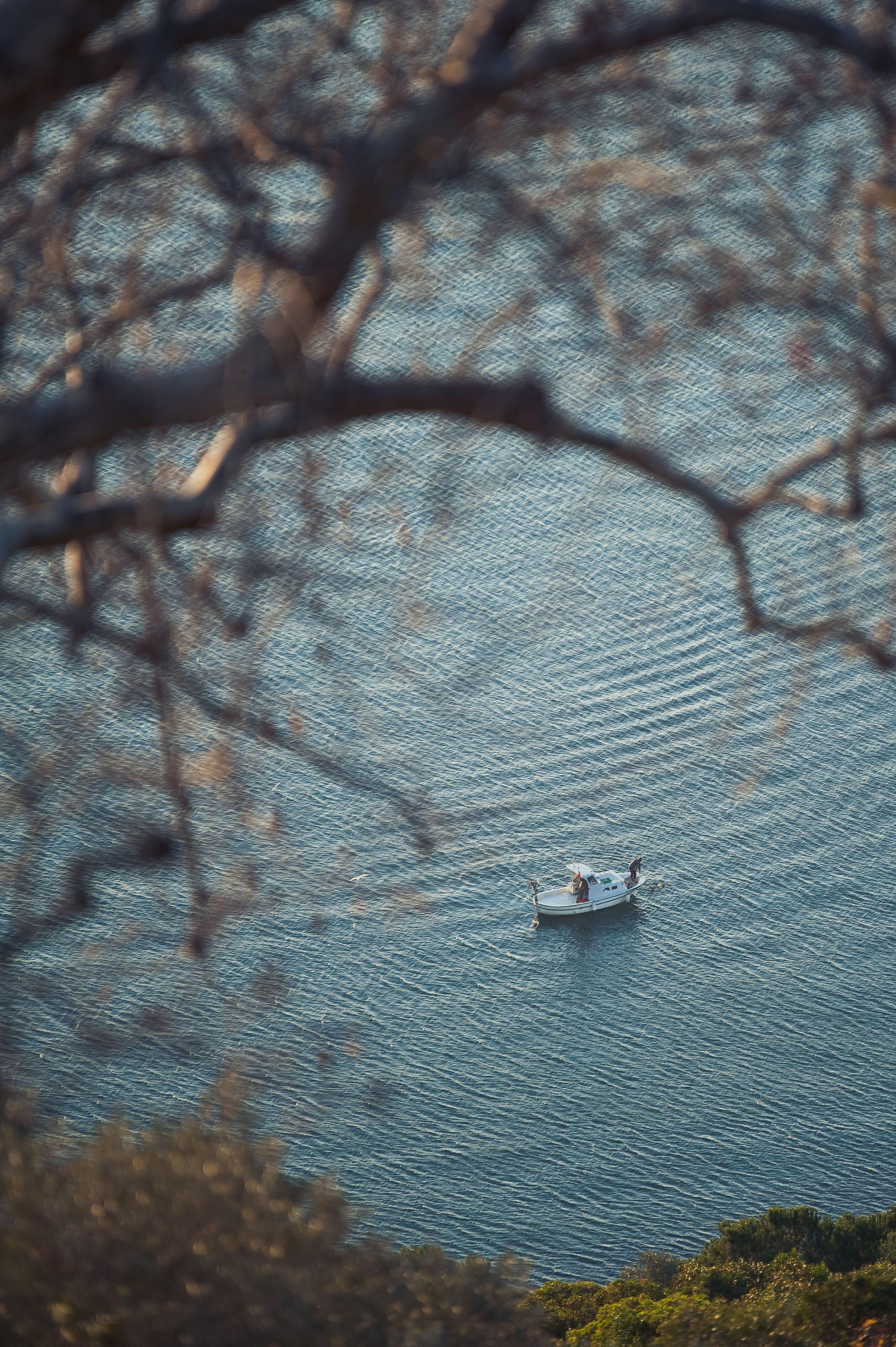 The Ripple