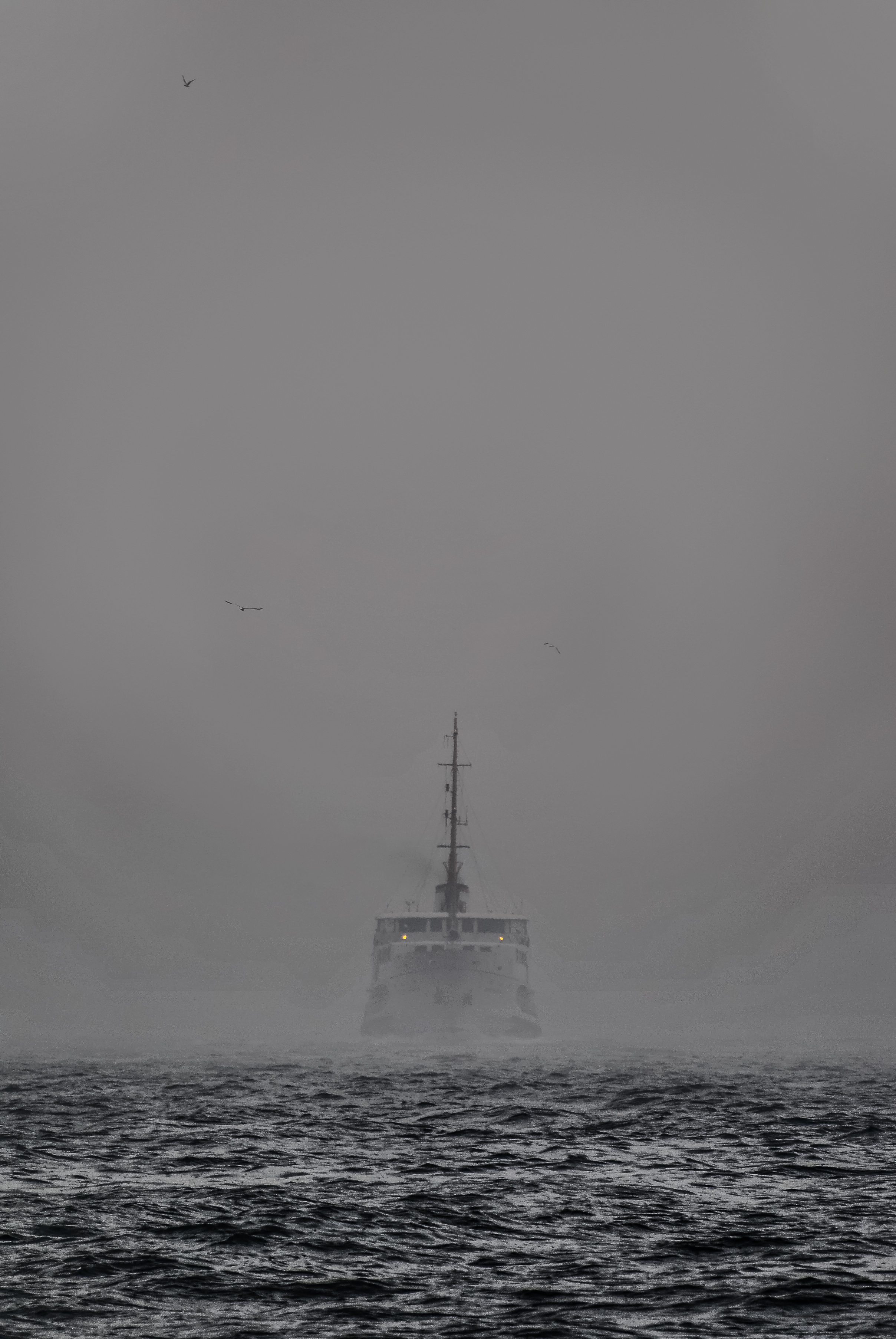 Ghost Ship
