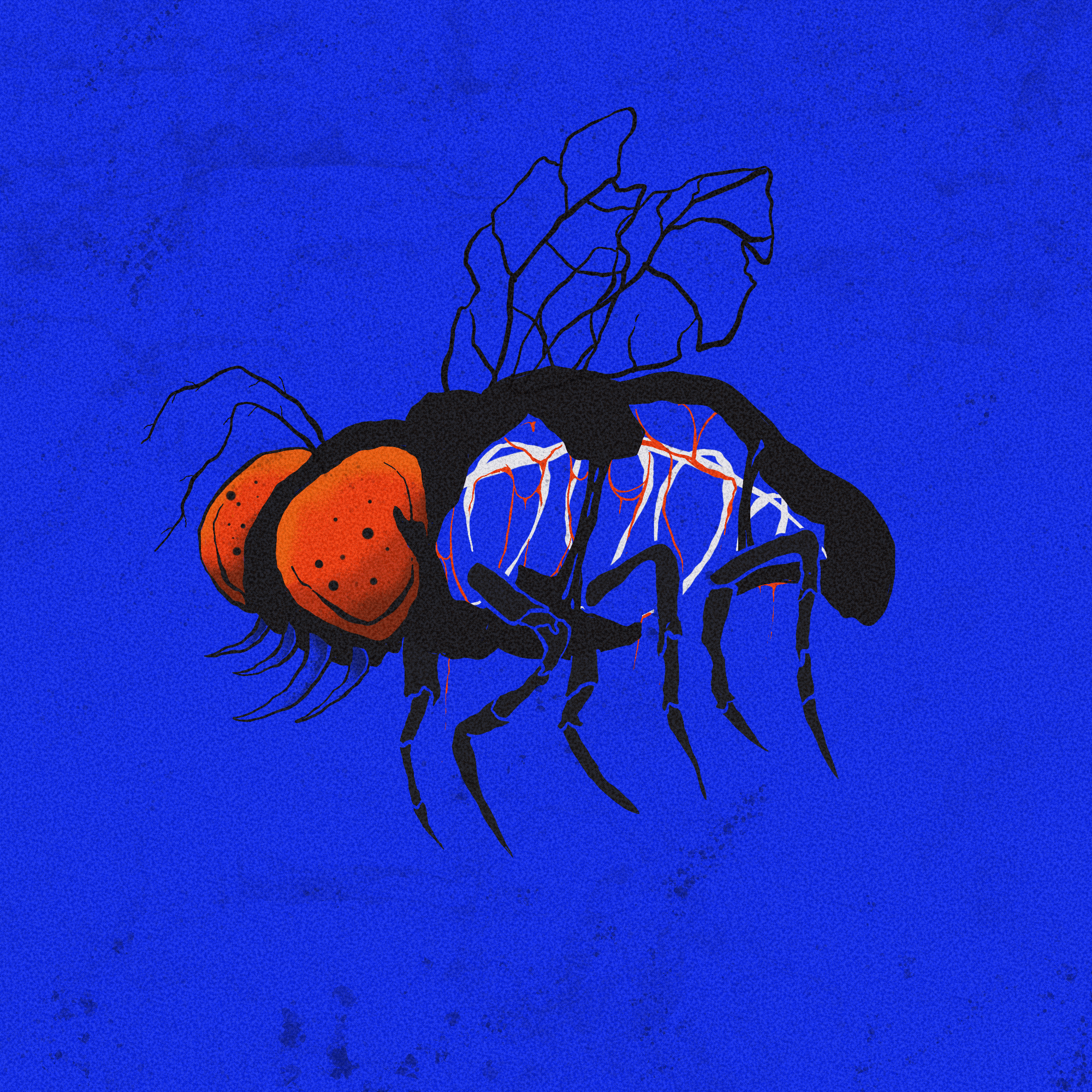 Mad Flies
