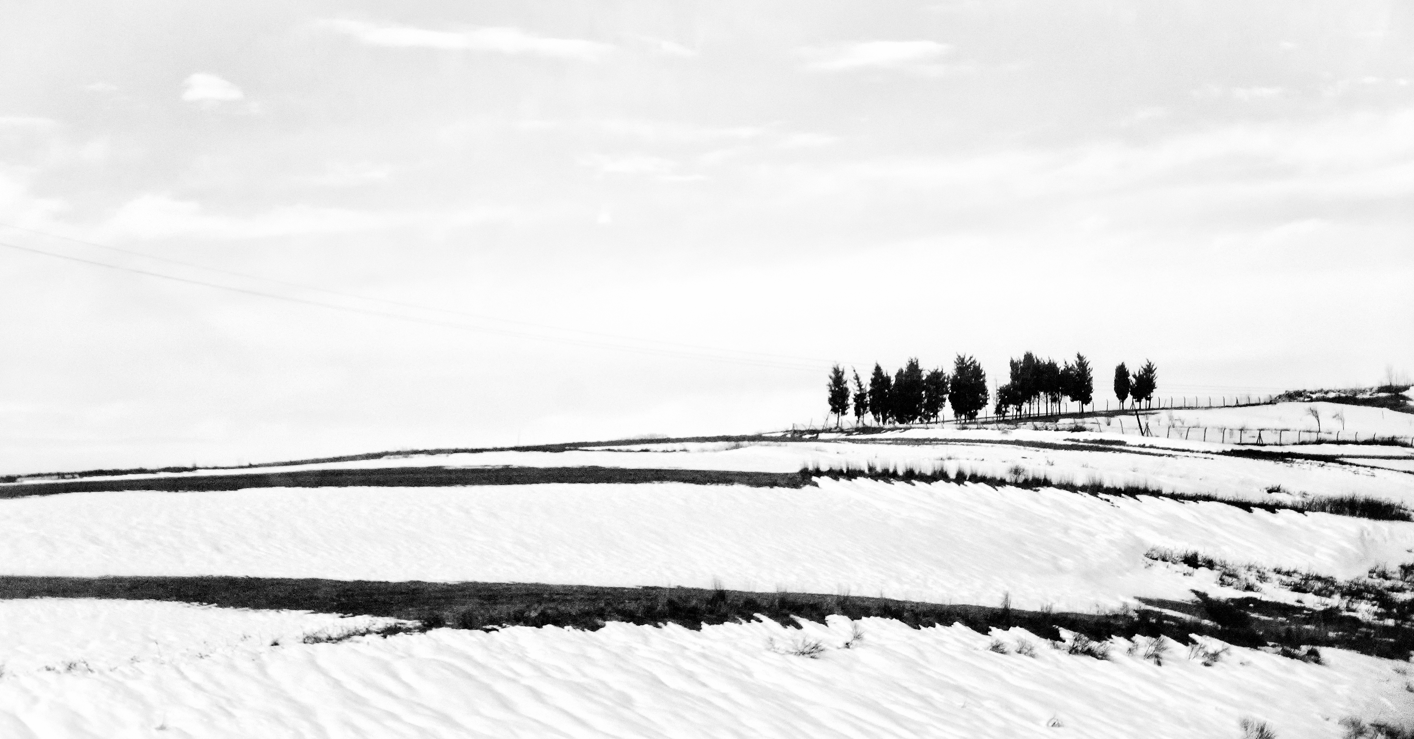 Winter Symphony #18