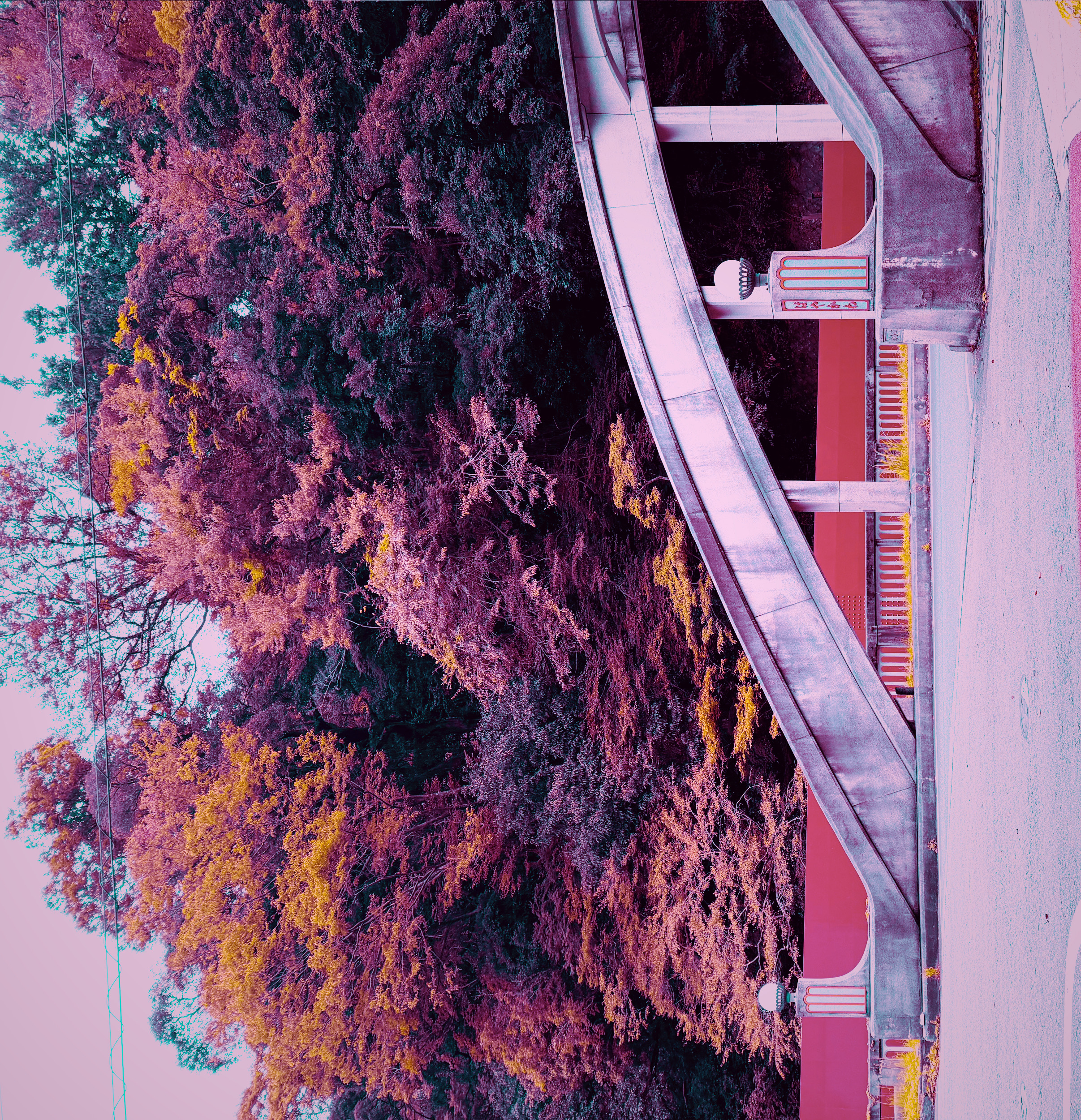 Autumn bridge