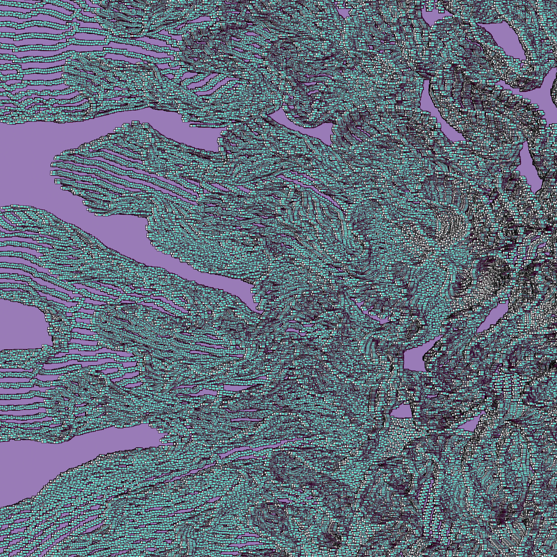 CP Untitled52 Fragment