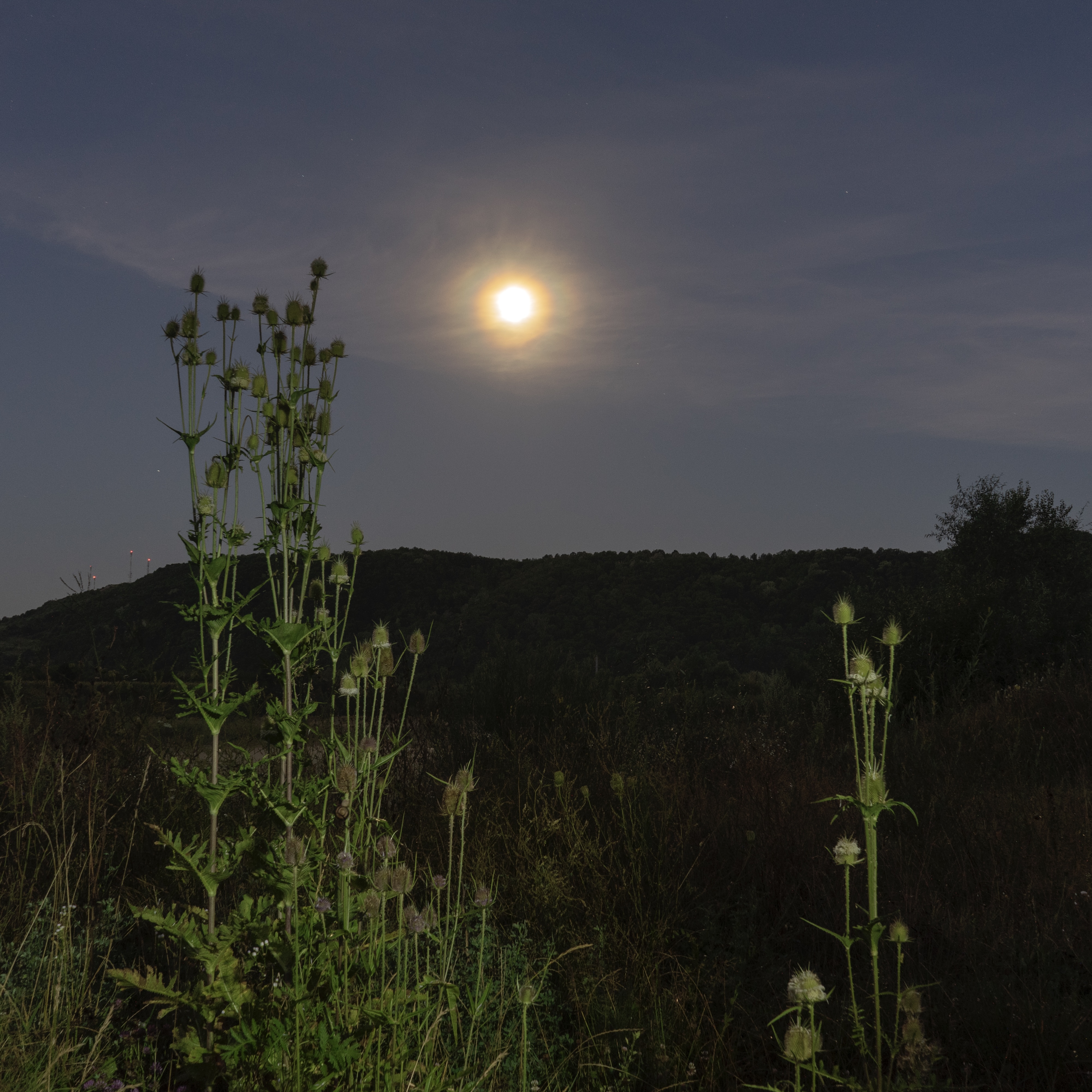 Midnight in a perfect world