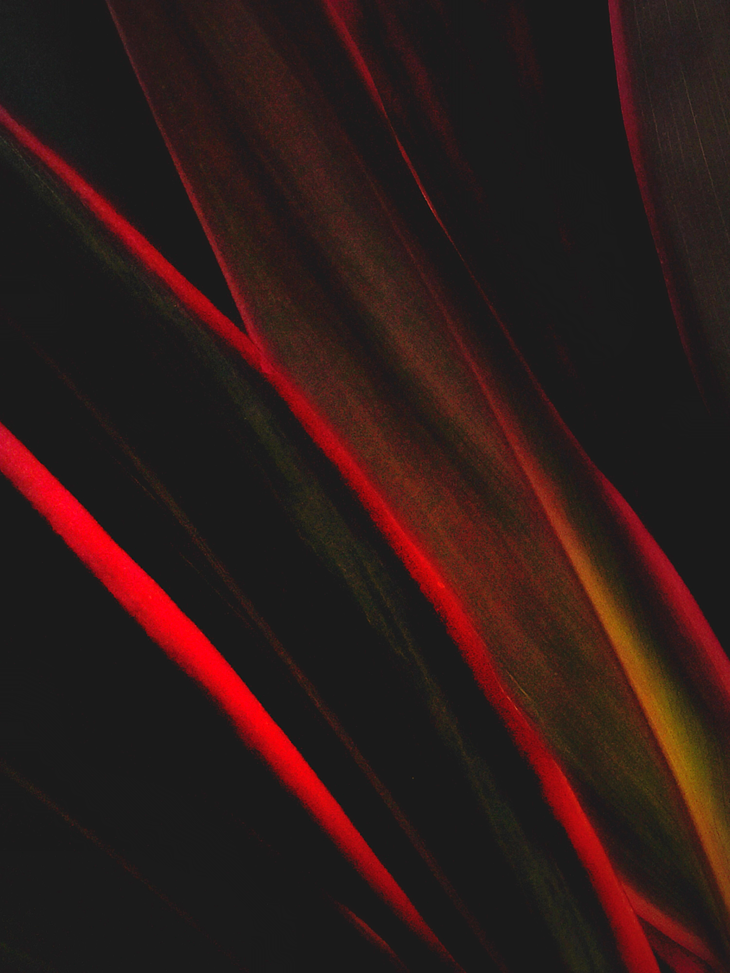 NEON