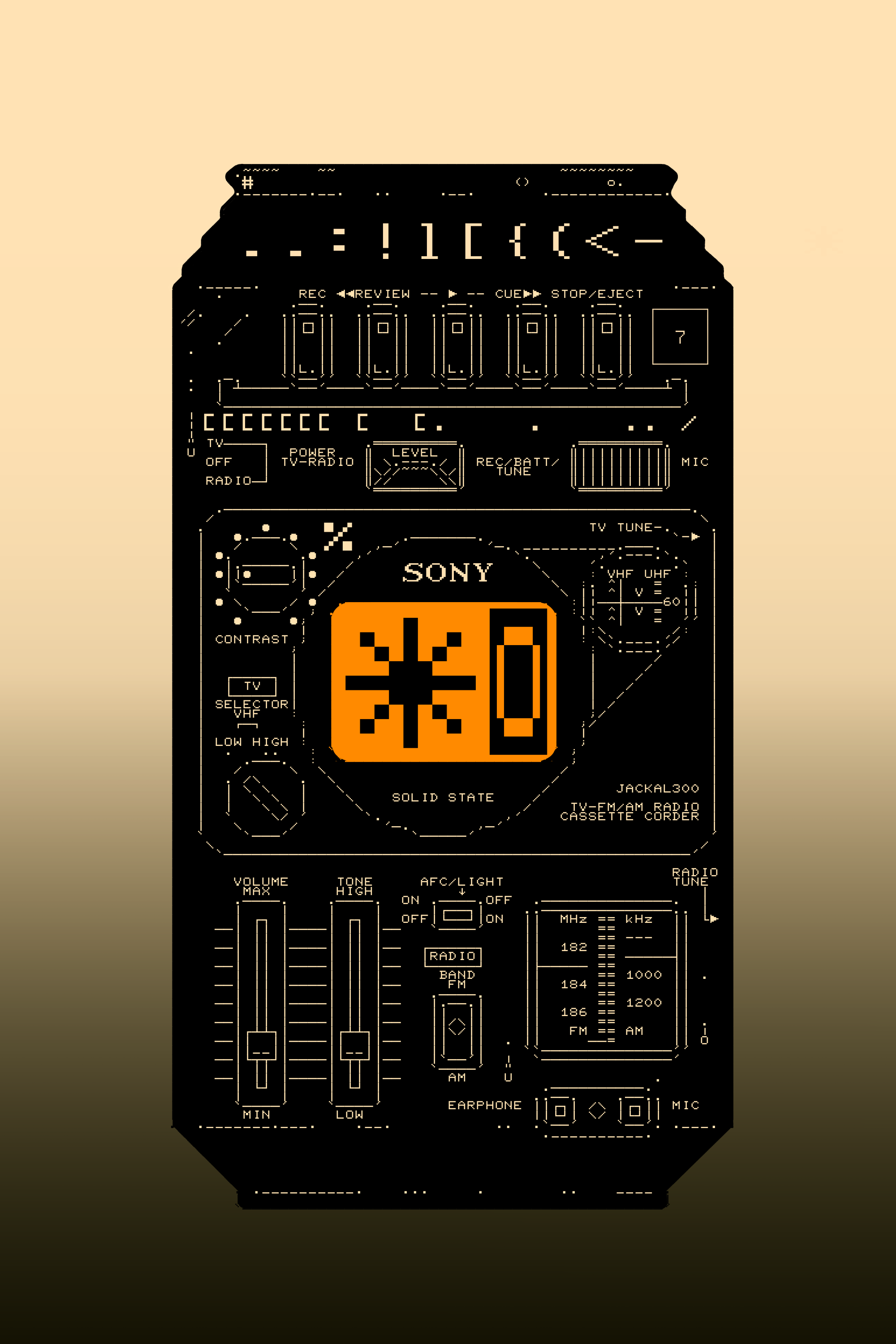 Sony FX-300