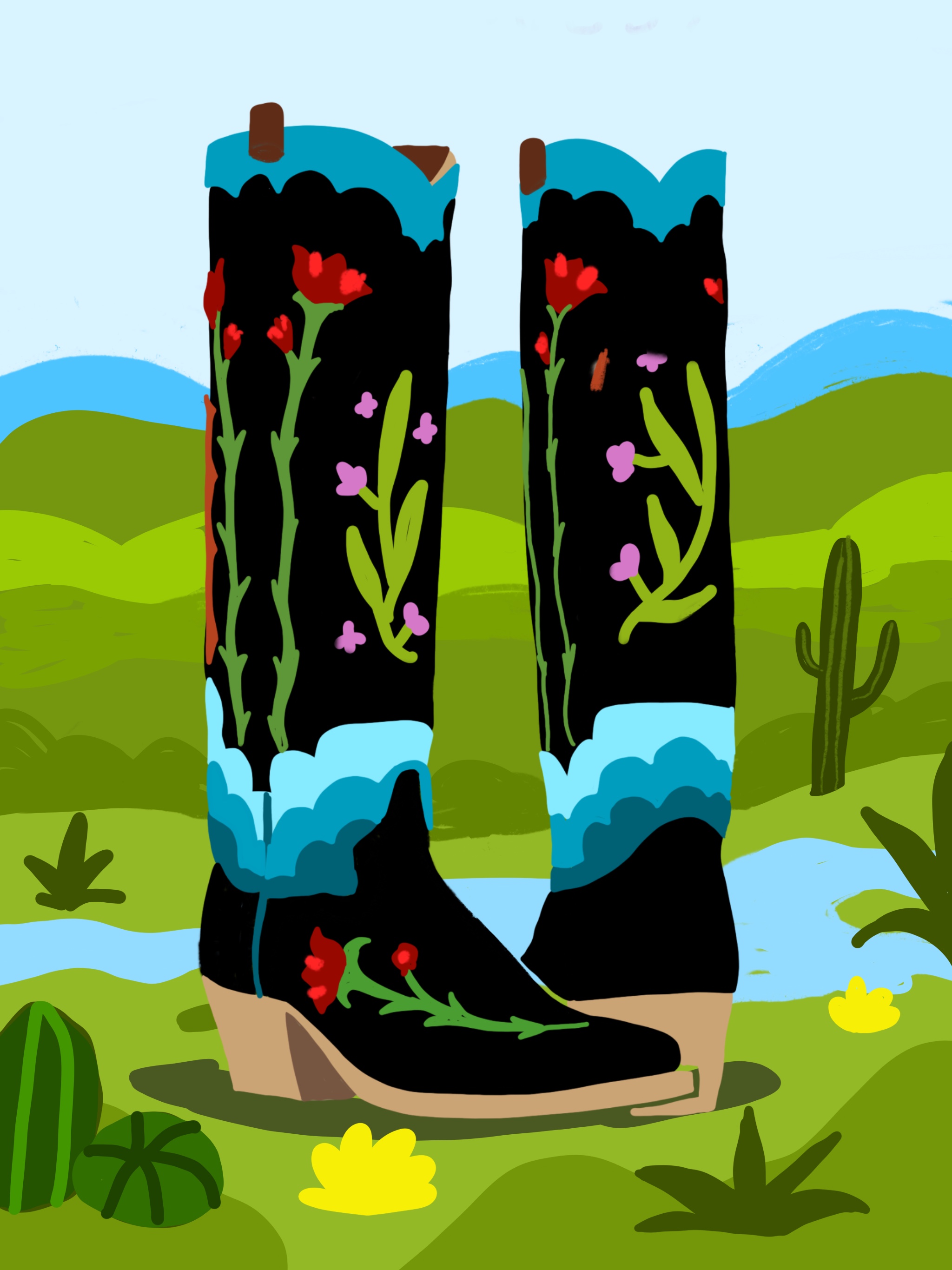 Cowboy Boots #1