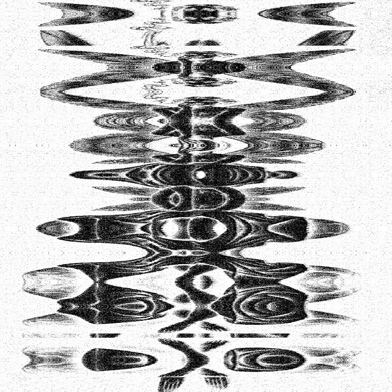 Multiple eyes