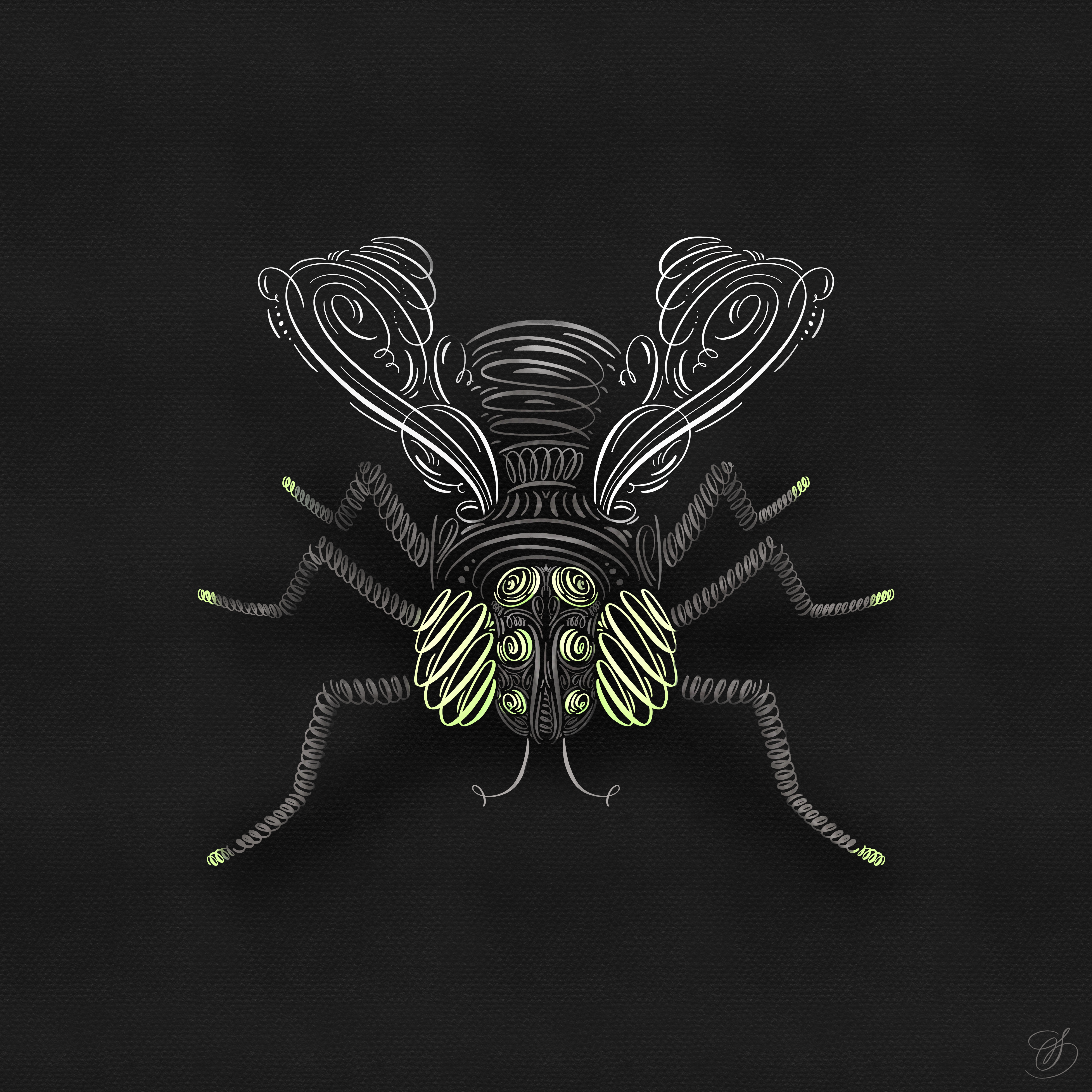 Calligrafly