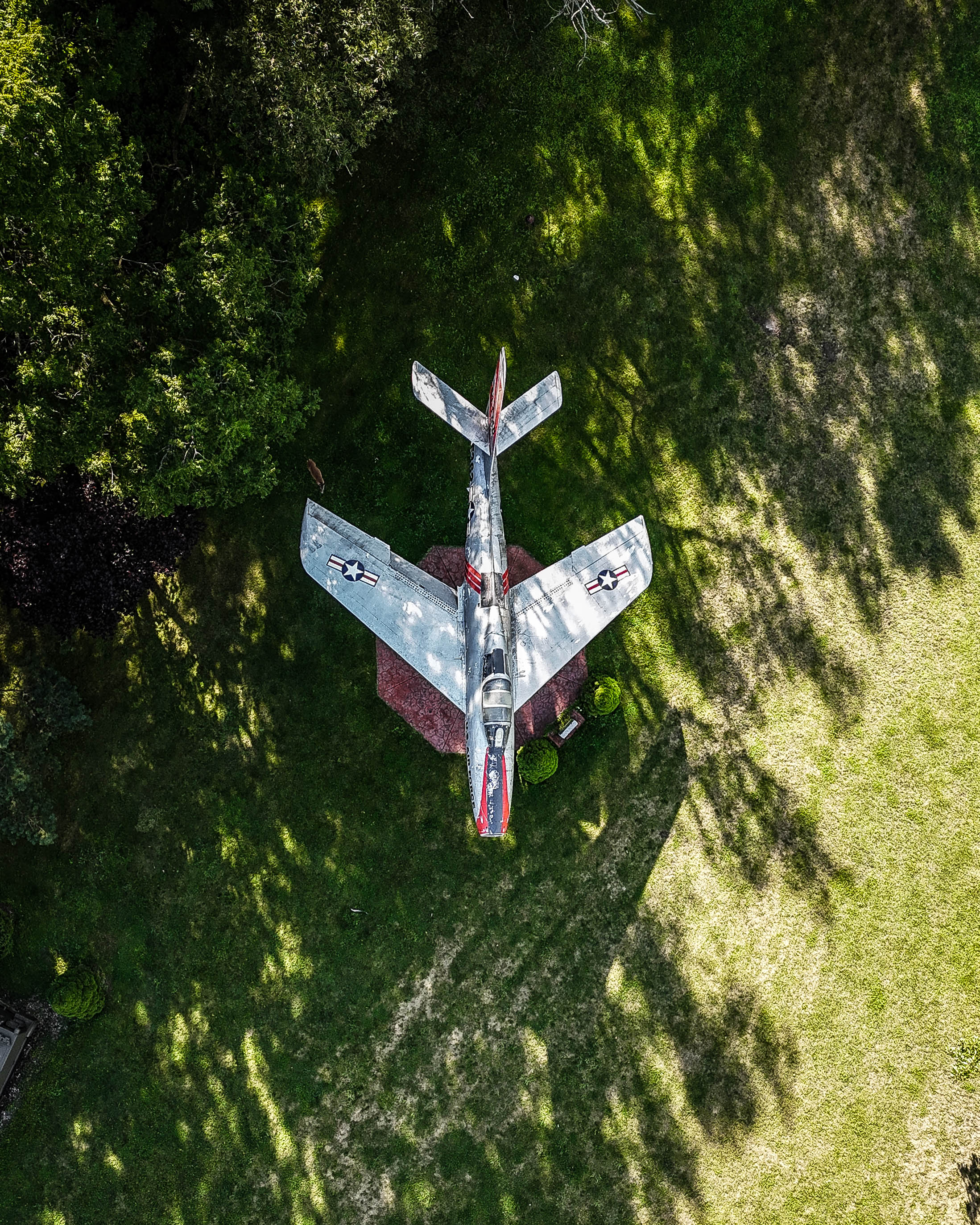 Warbird