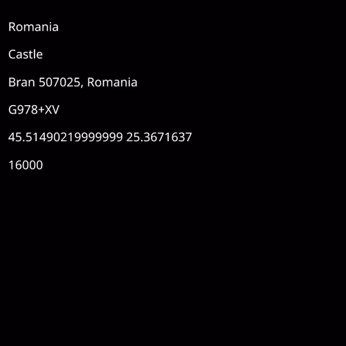 Fan of Bran Castle