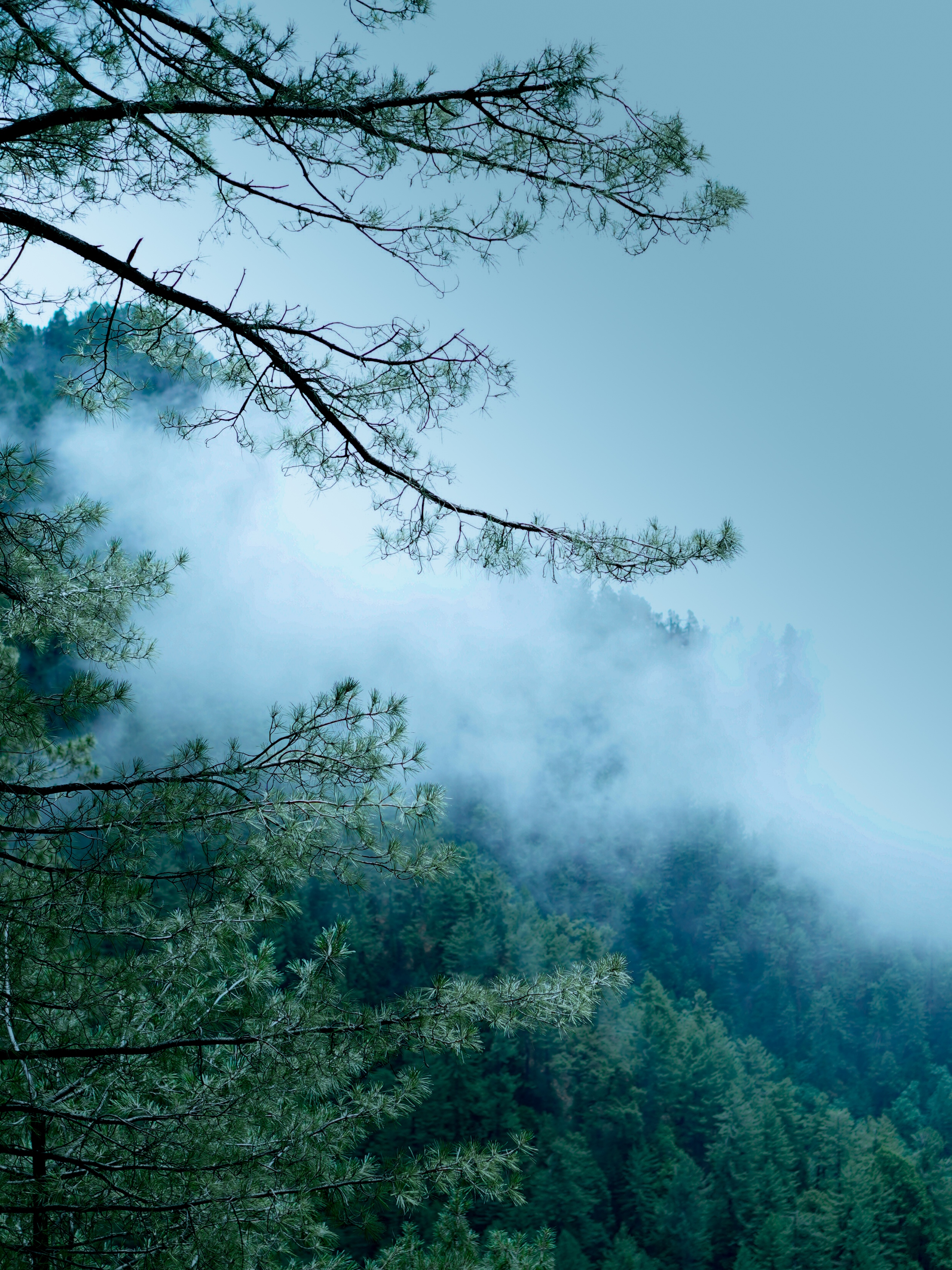 Touch Grass & Clouds  #8