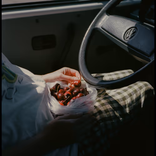Sweet Cherries