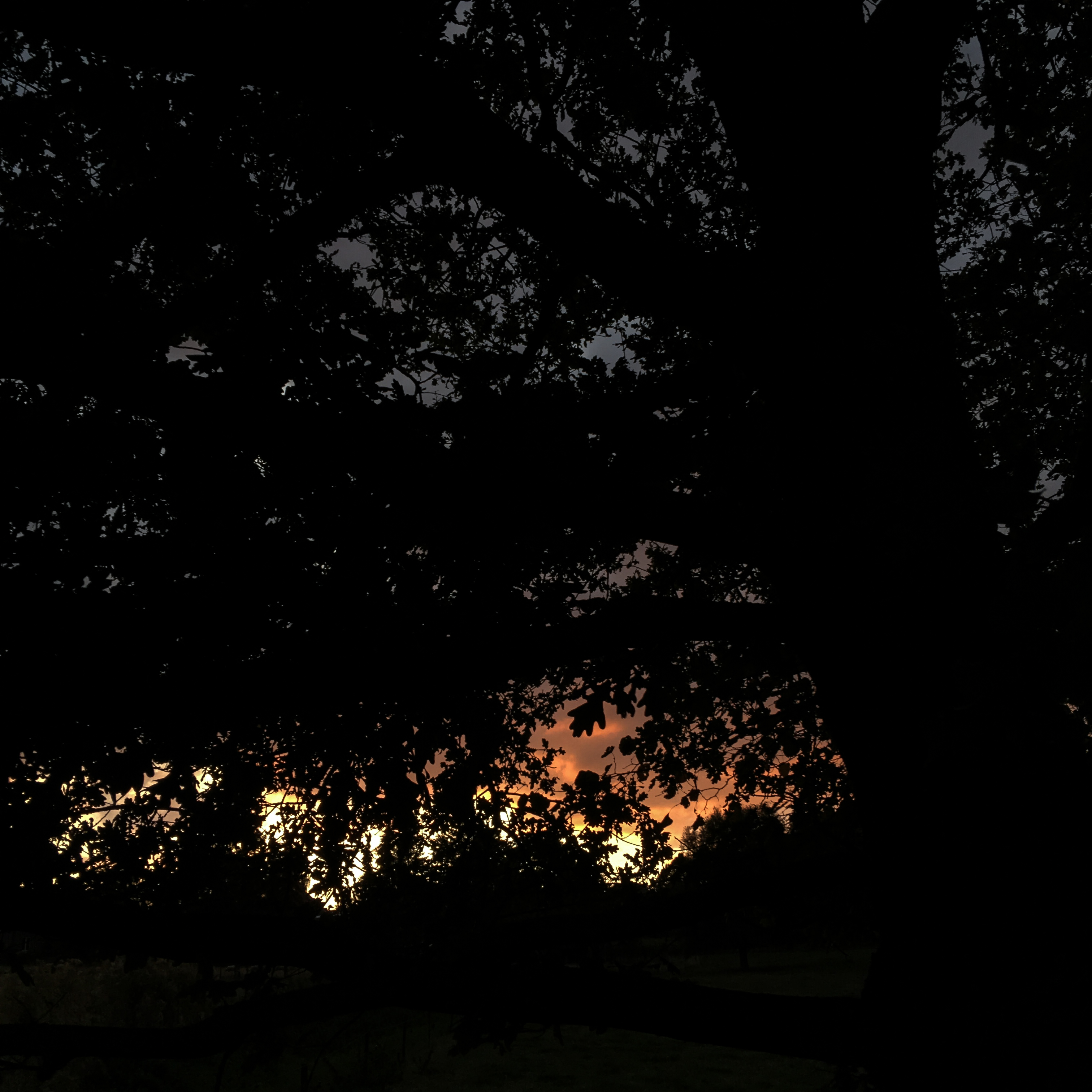 Sleepwalking 3