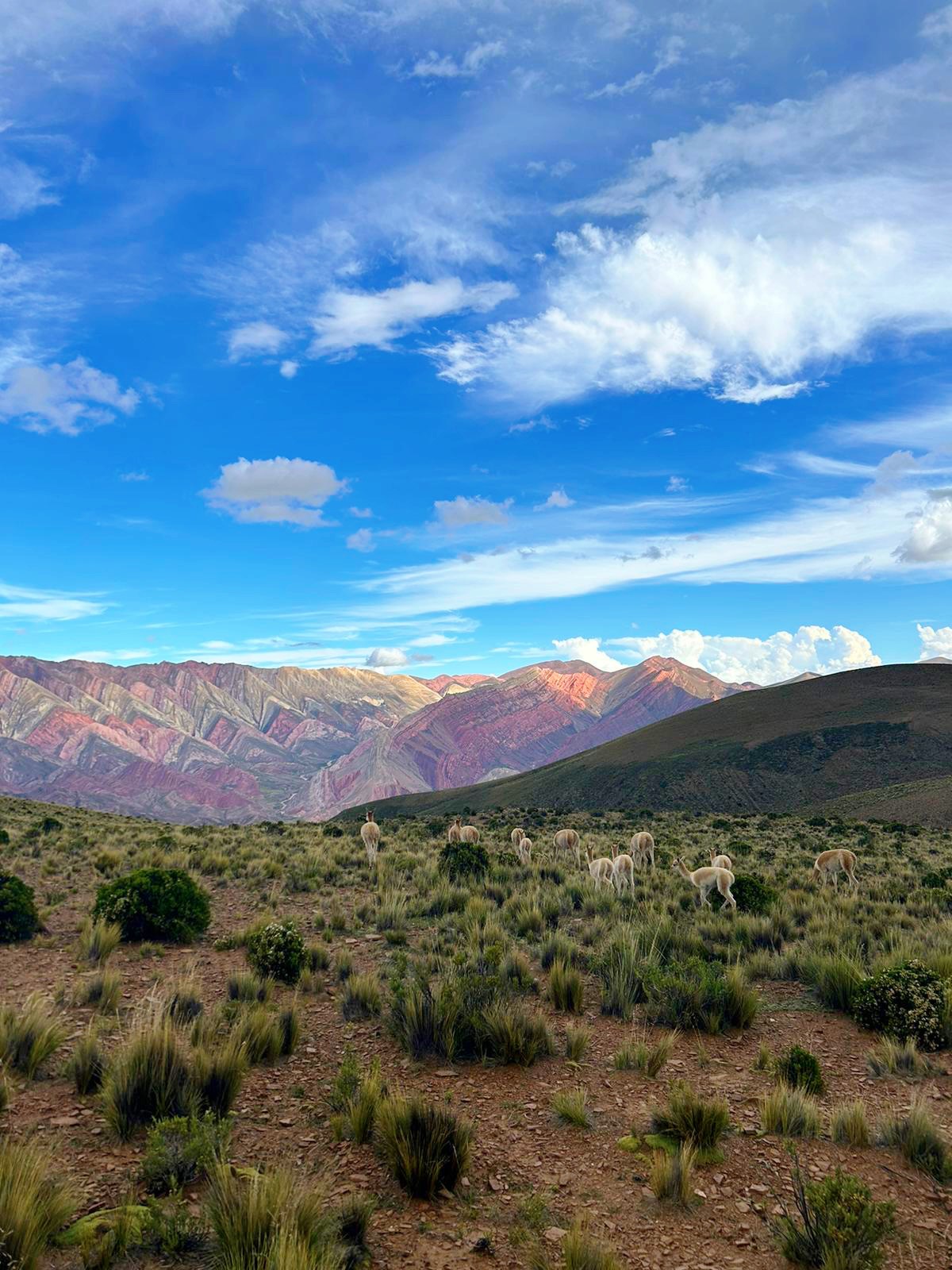HIGH ALTITUDE --