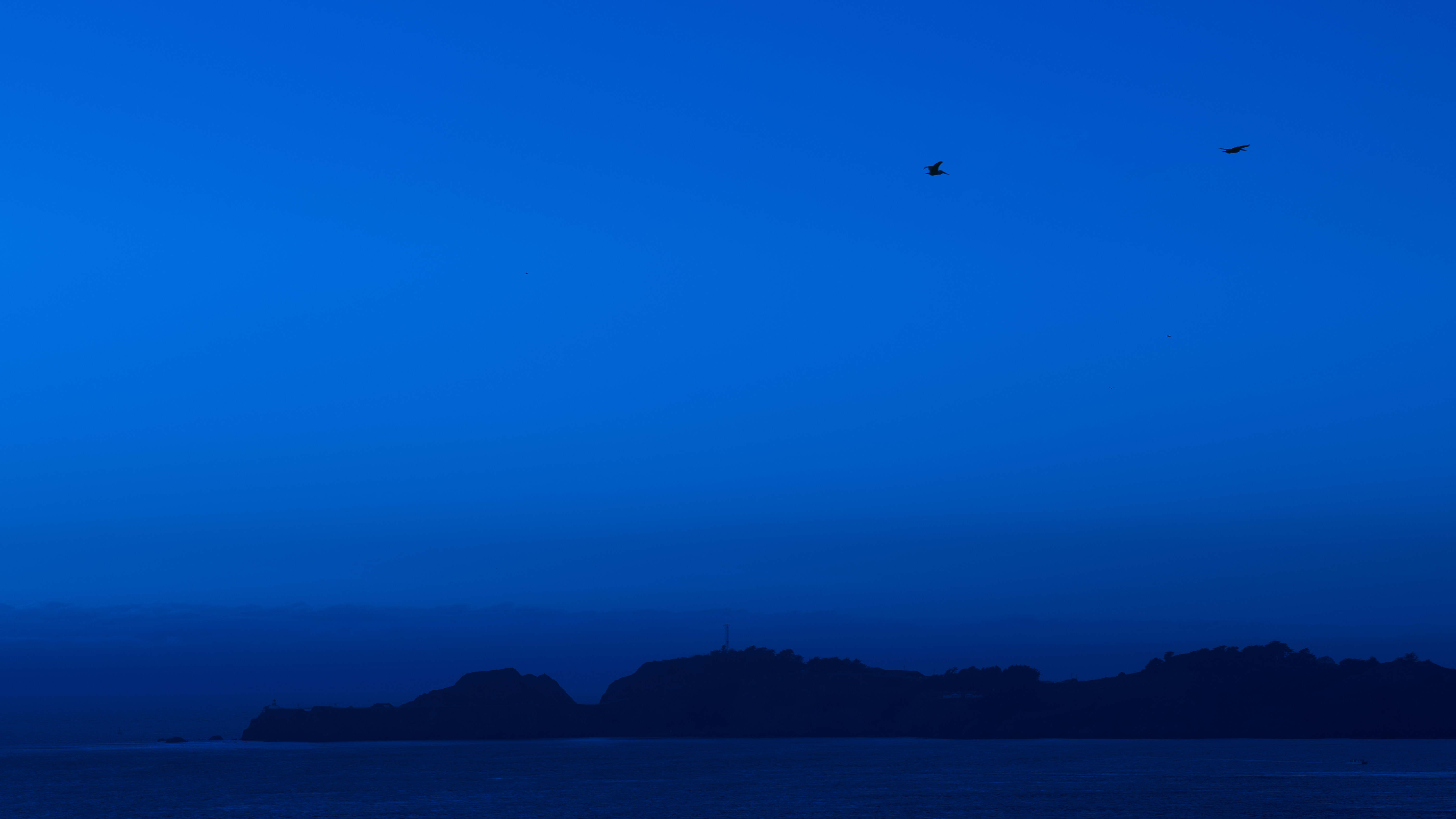 stillness in blue