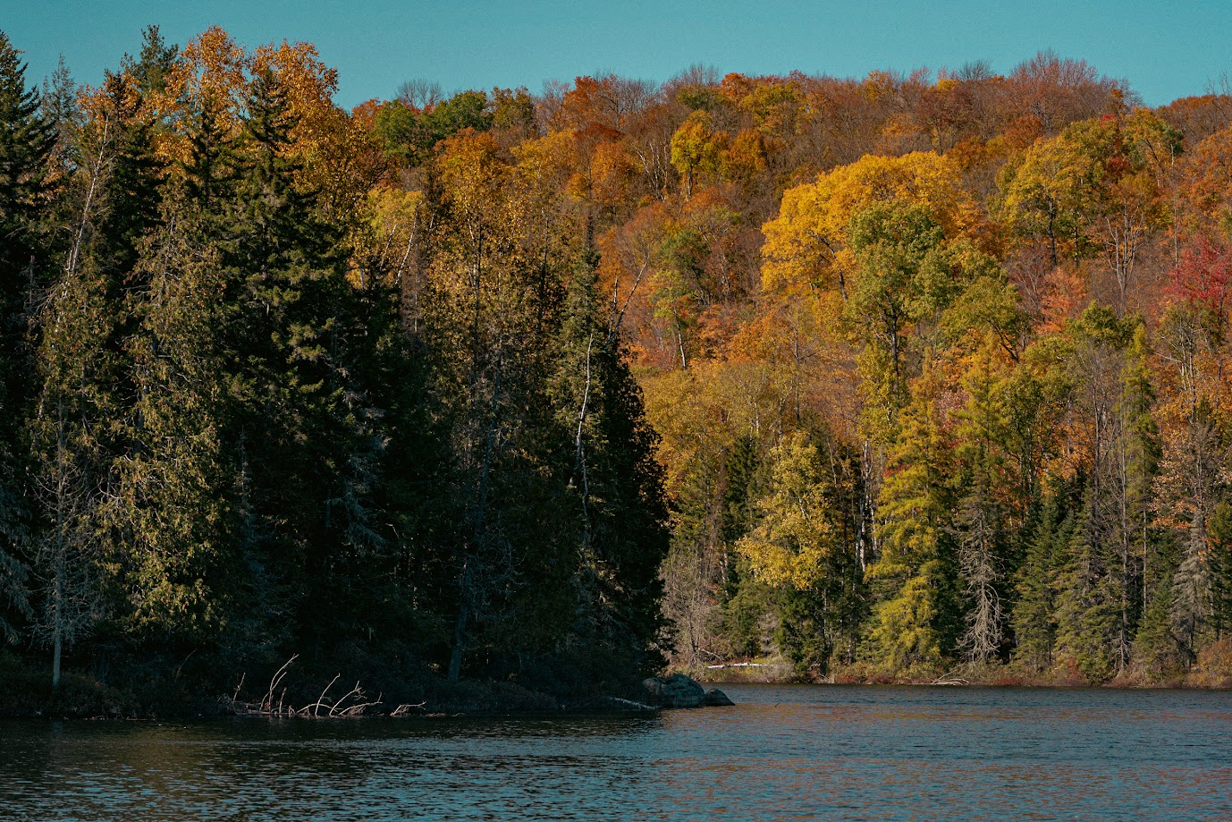 Color around every bend