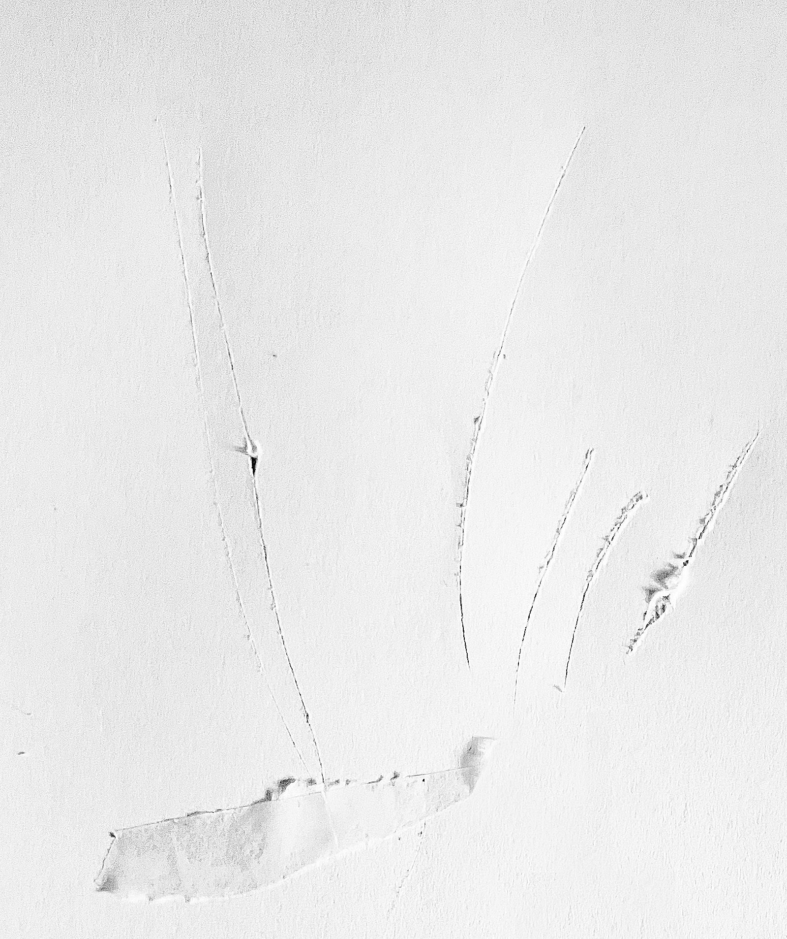 Interlude 109