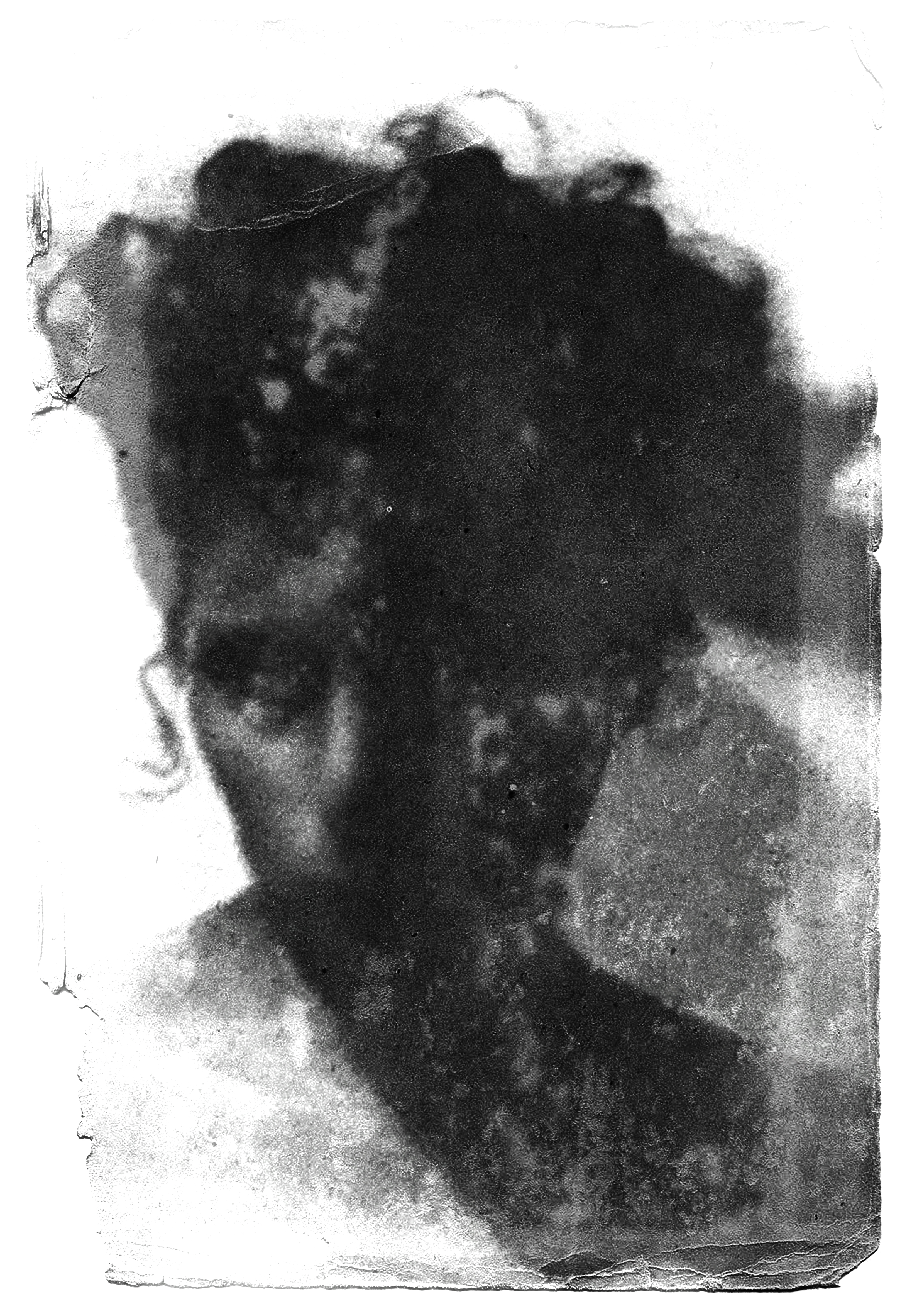Μέδουσα