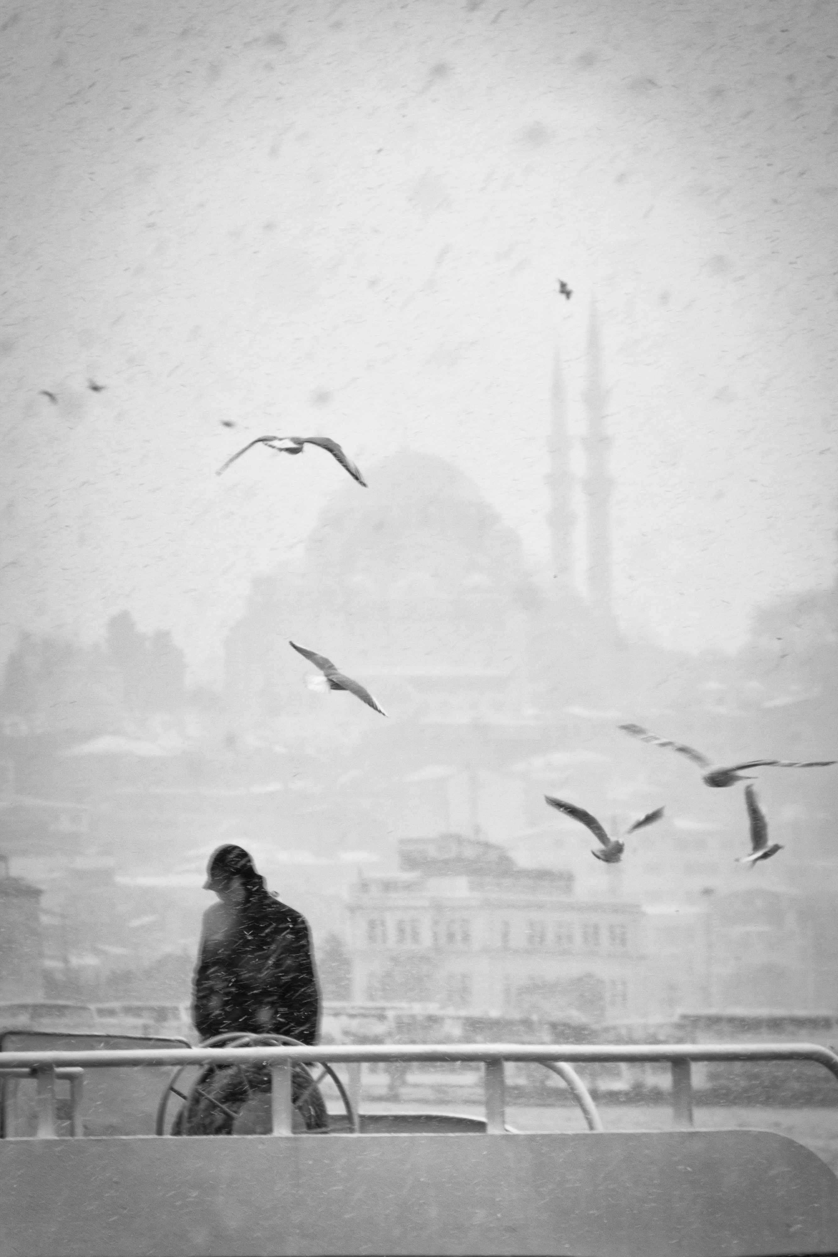 Life in snow #215