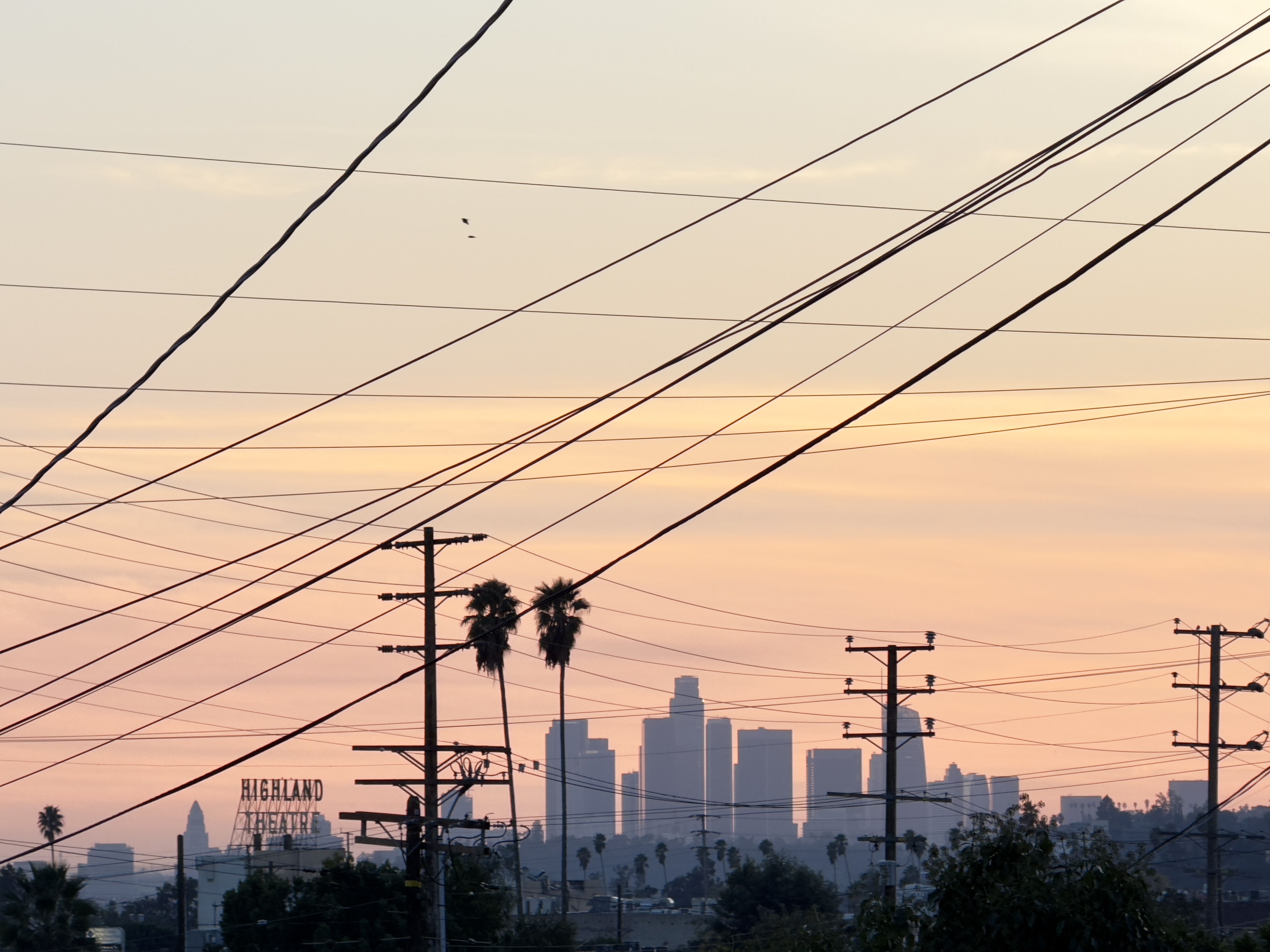 i am lucky to live in los angeles. 