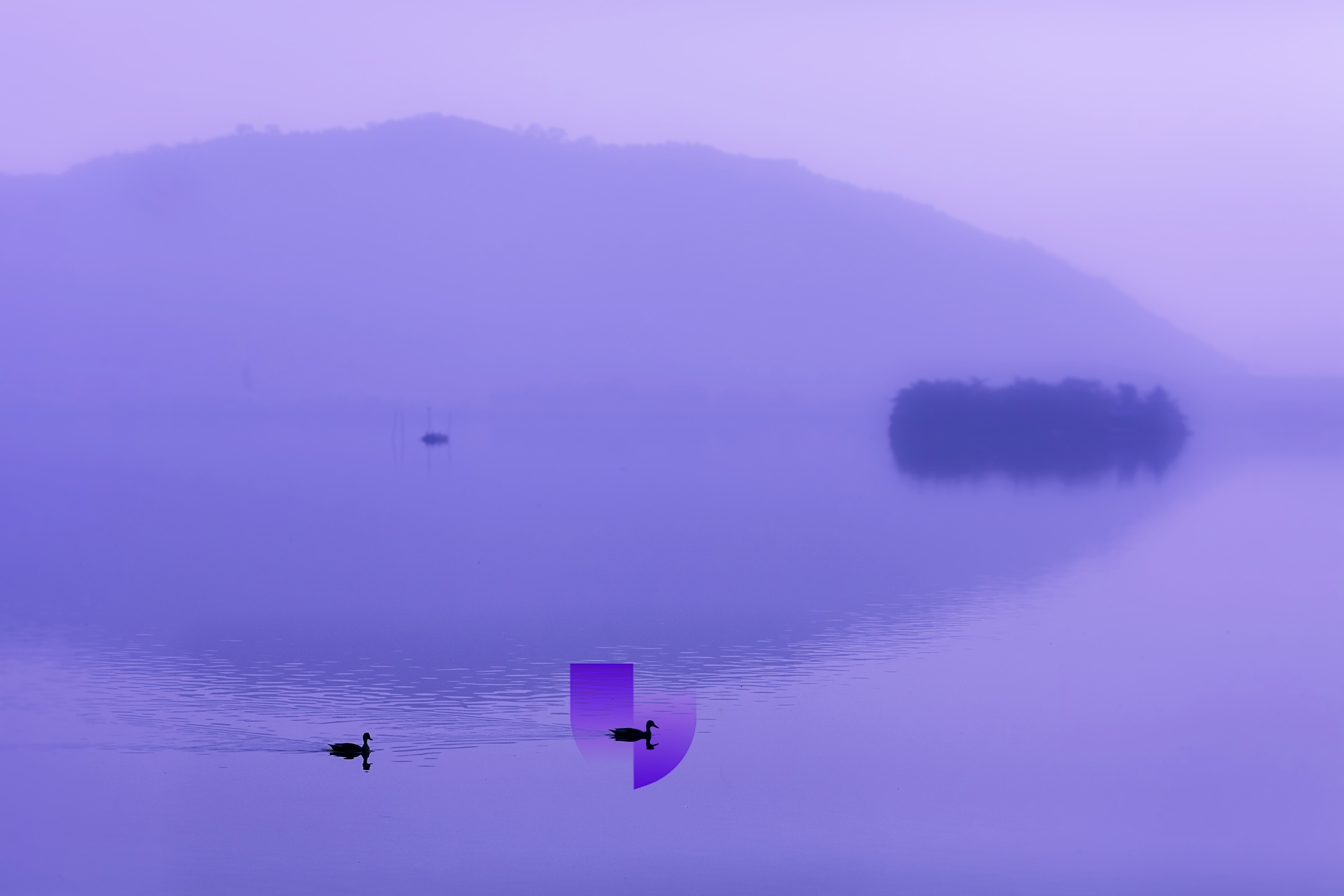 Shielded Serenity #3708