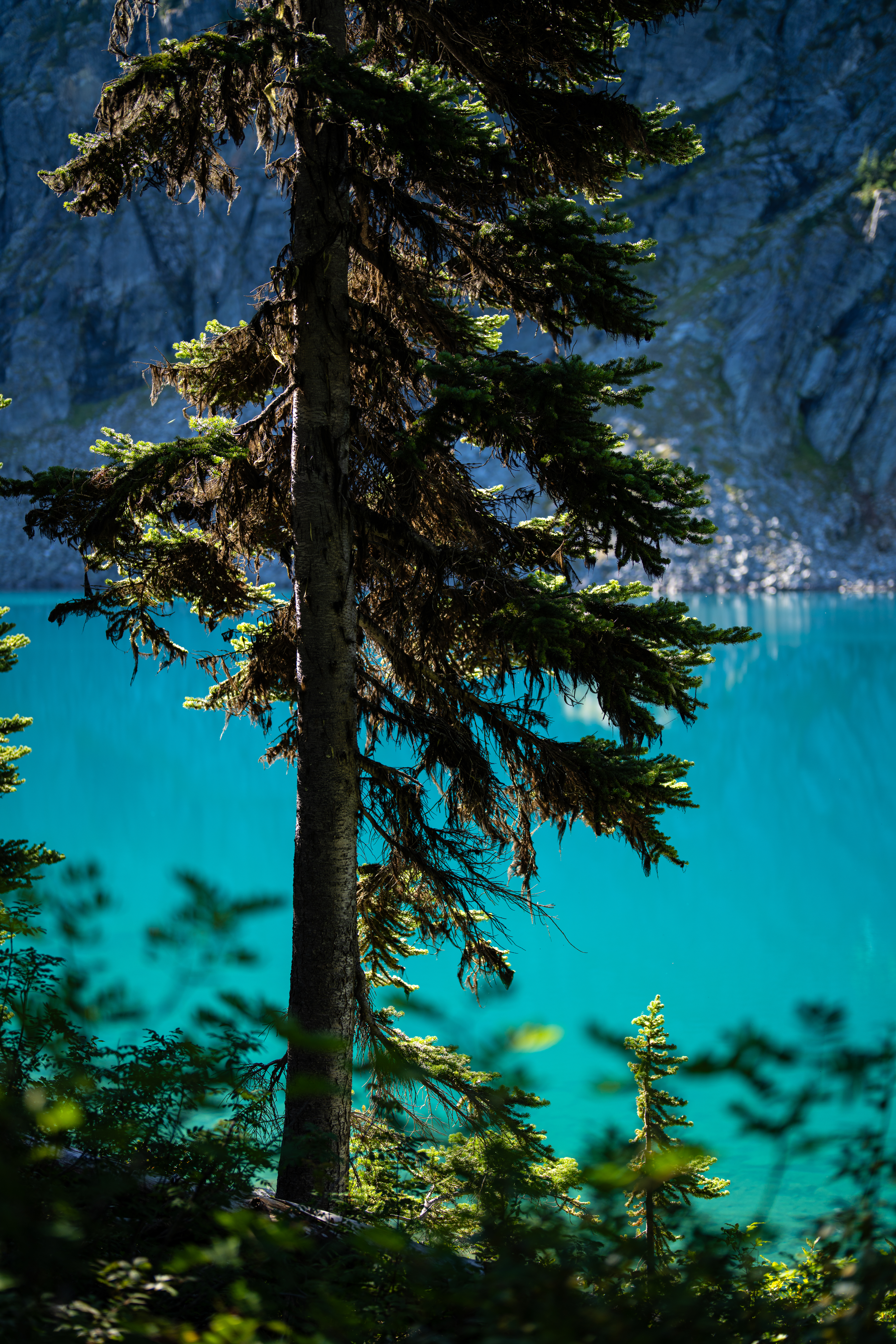 the calm surface of time