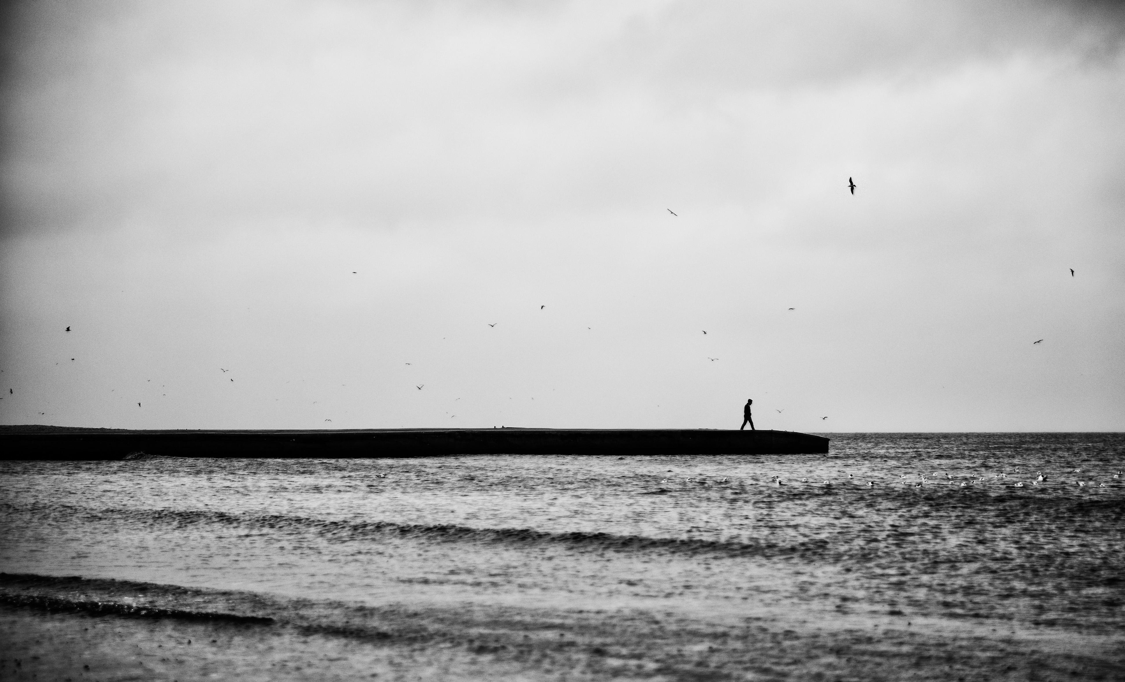 The Edge
