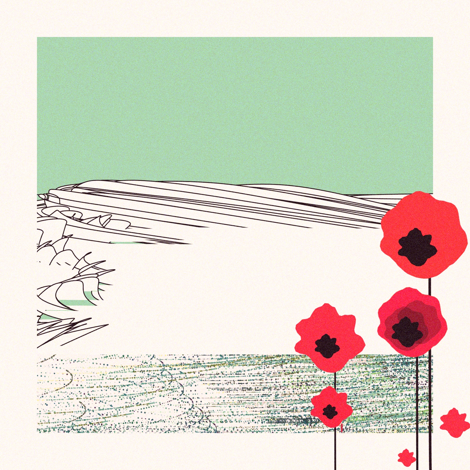 Poppies of Normandy