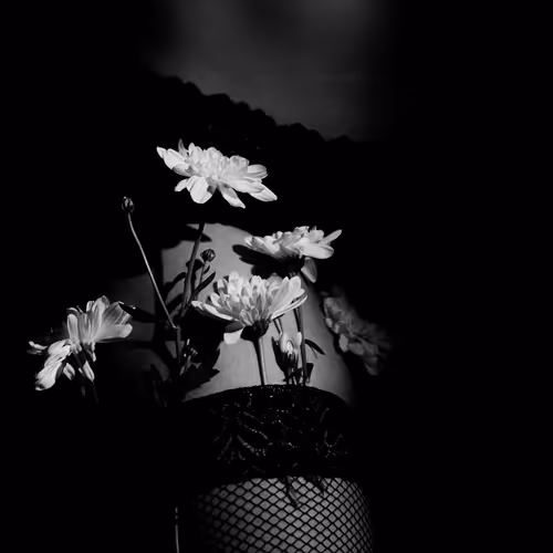 Whispers of Midnight