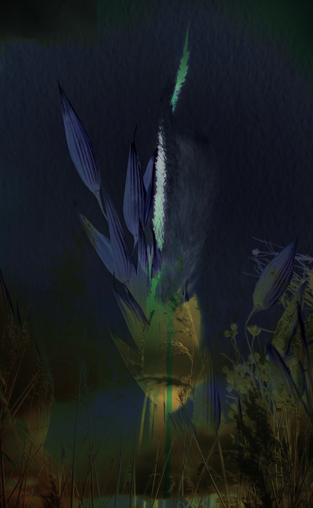 Inverted Darkness
