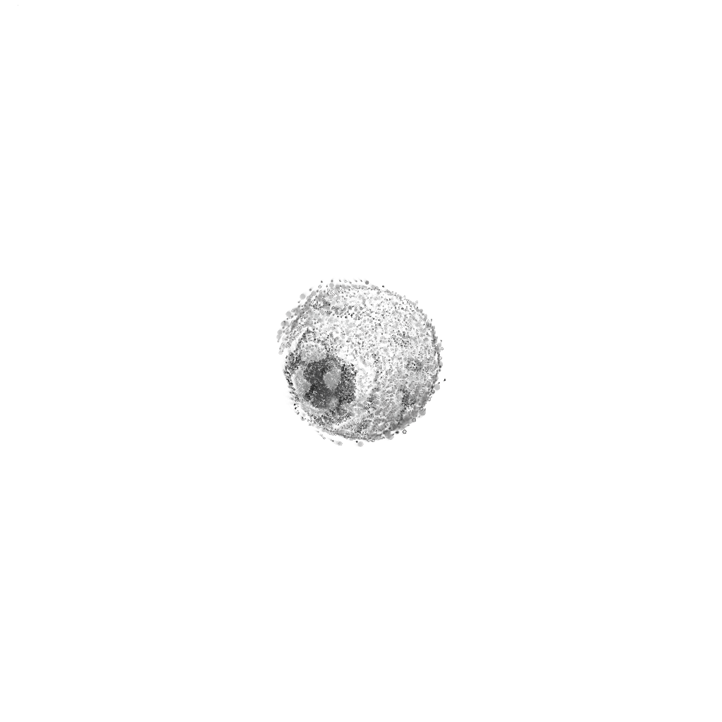 Ephemeral Cohesion