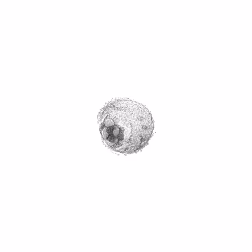 Ephemeral Cohesion