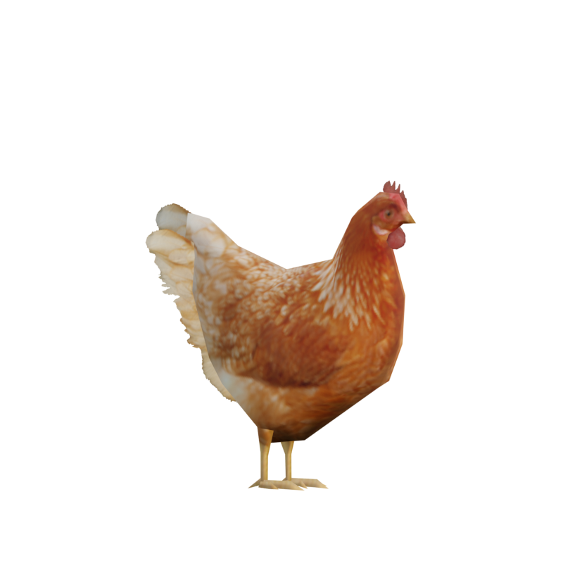 Ada