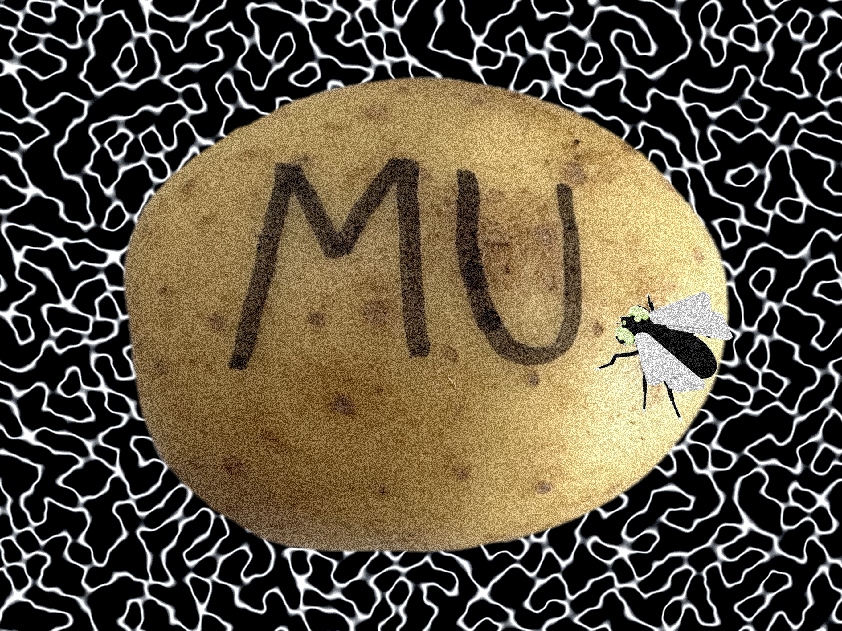 MUTATIO on a MUTATO