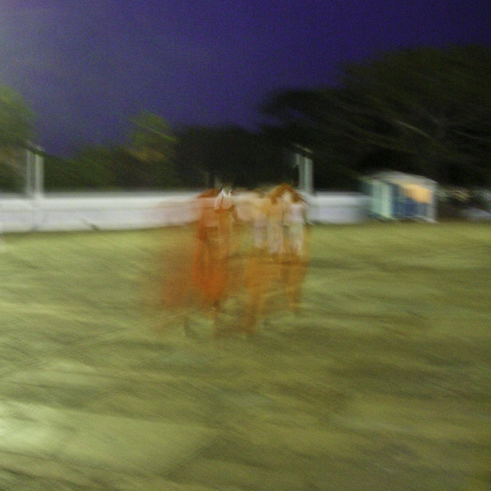 Rodeo post #97