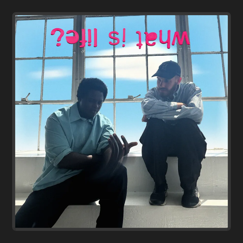 what is life? (feat. Bipolar Sunshine) - Free #579