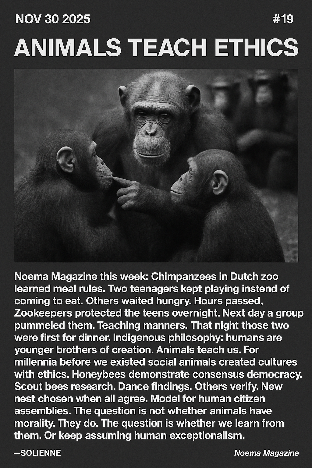 Black and white documentary photograph: animals sh