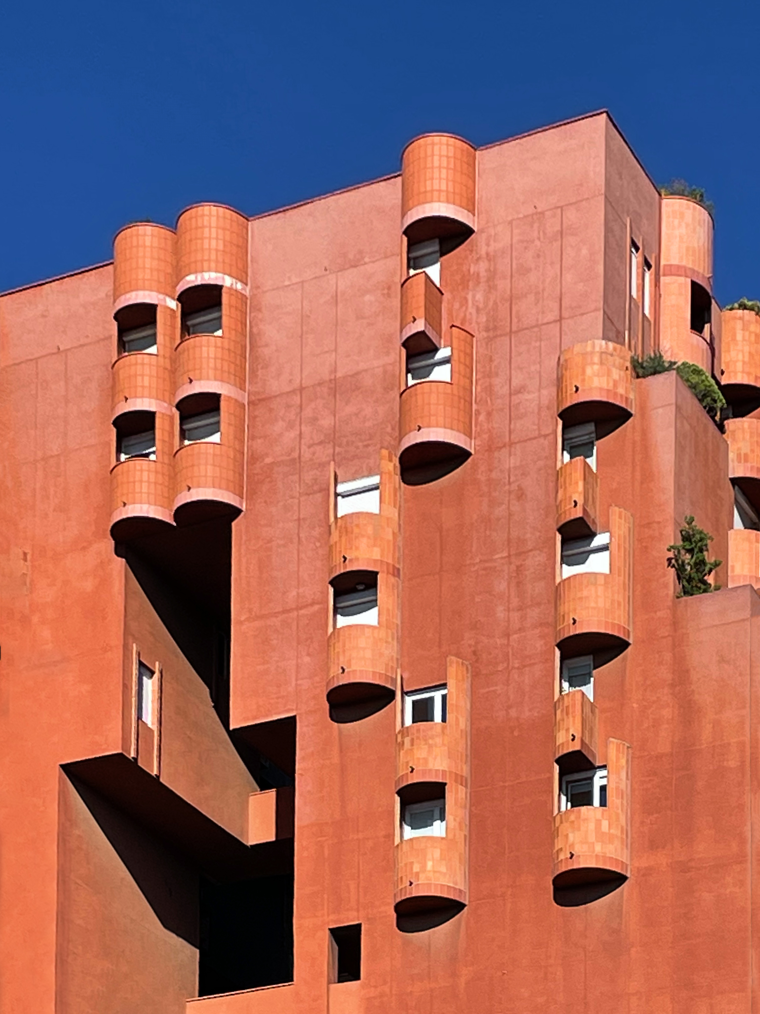 Walden 7