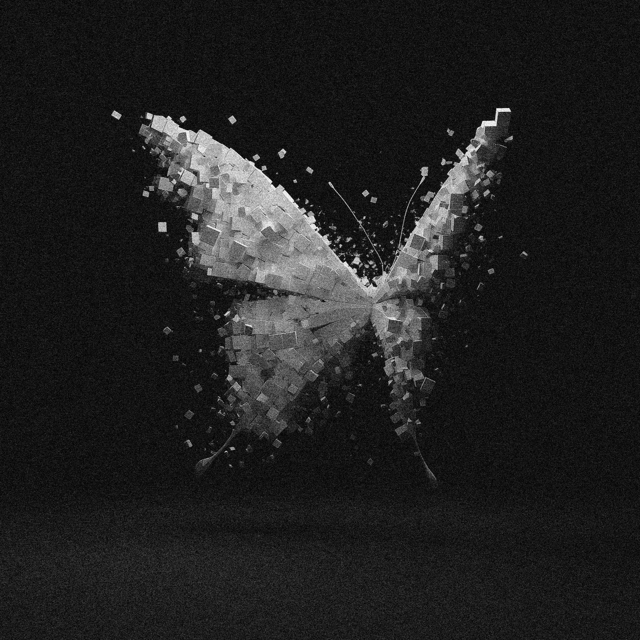Butterfly Effect