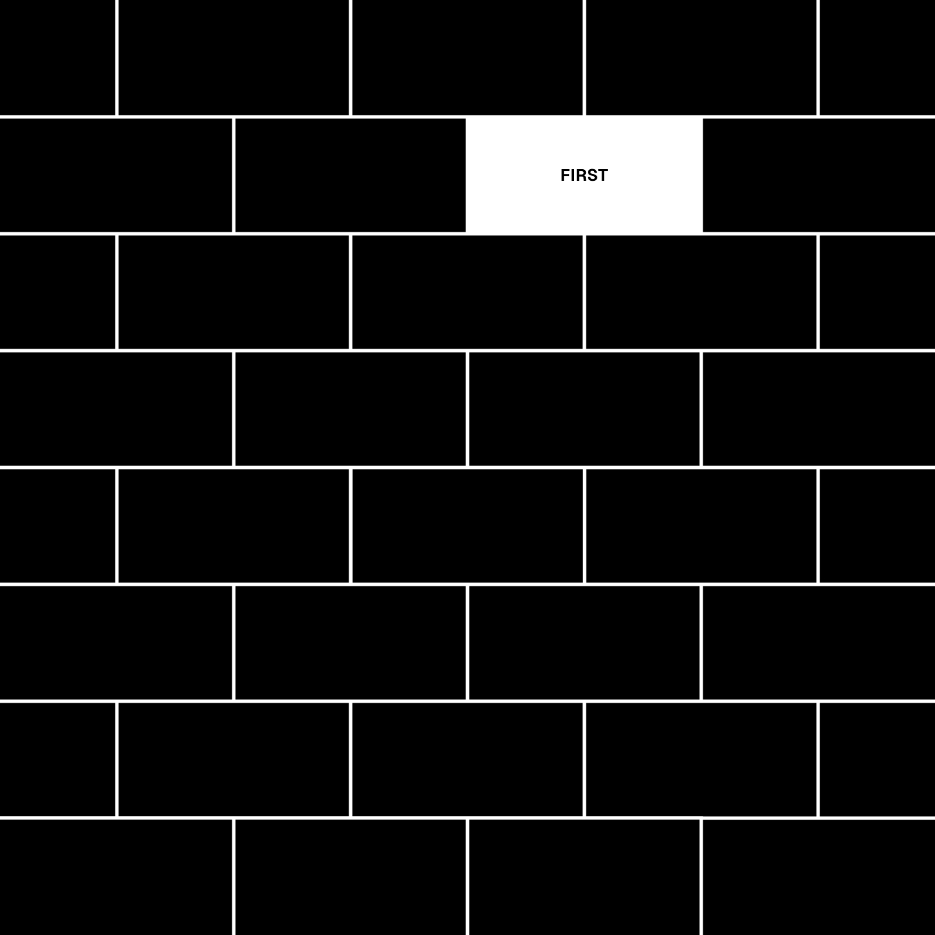 First Bricks