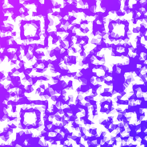 AUTH CAMERA