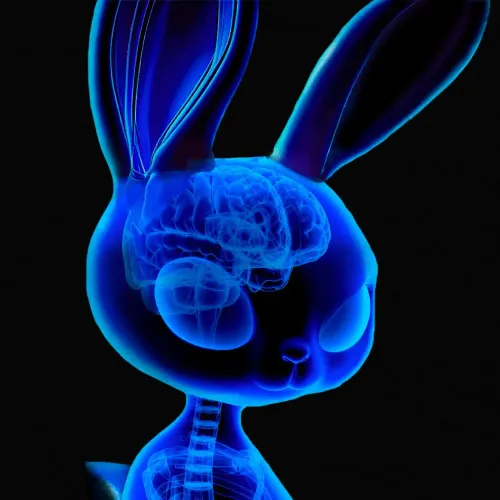 Bad Bunnz #702