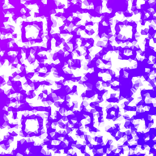 AUTH CAMERA