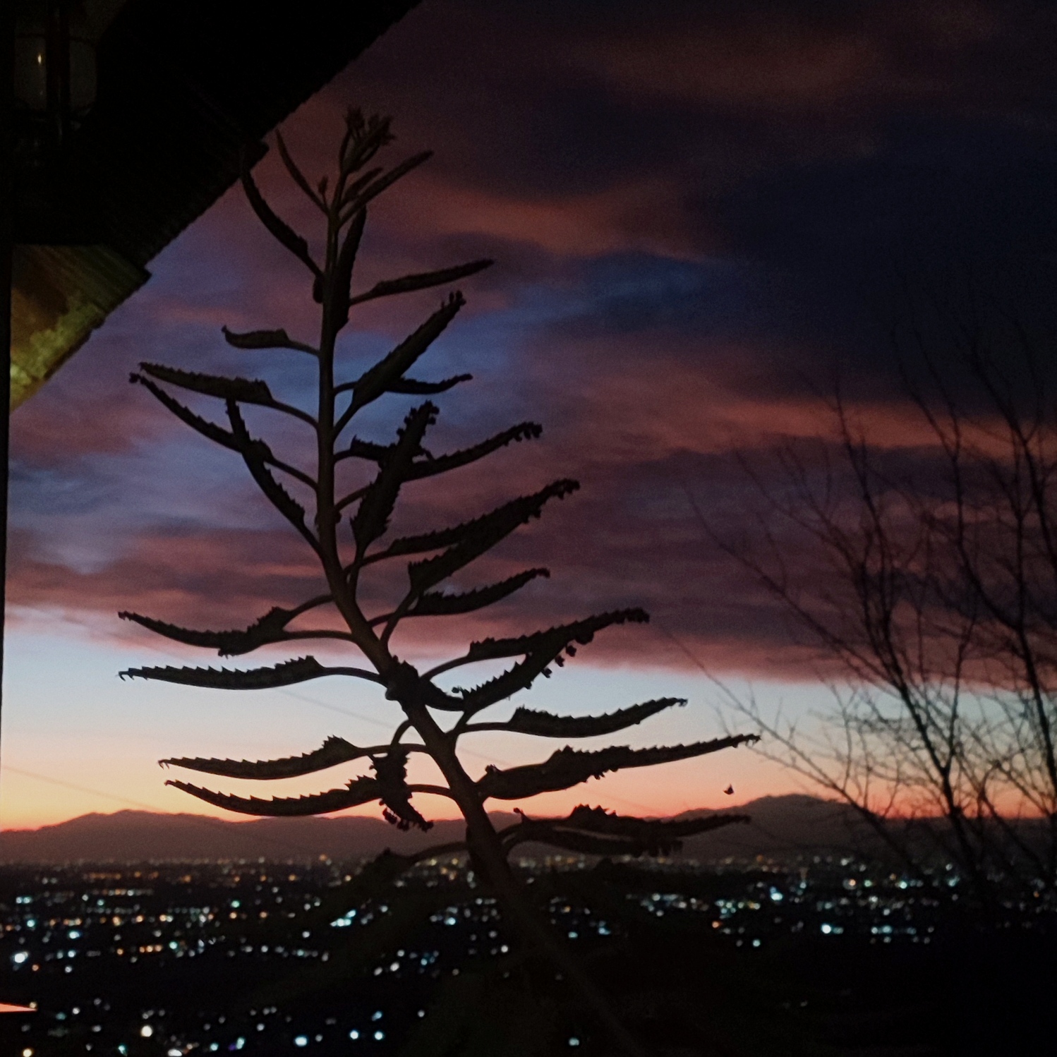 Sunrise