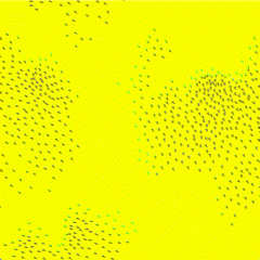 Yellow Run #45