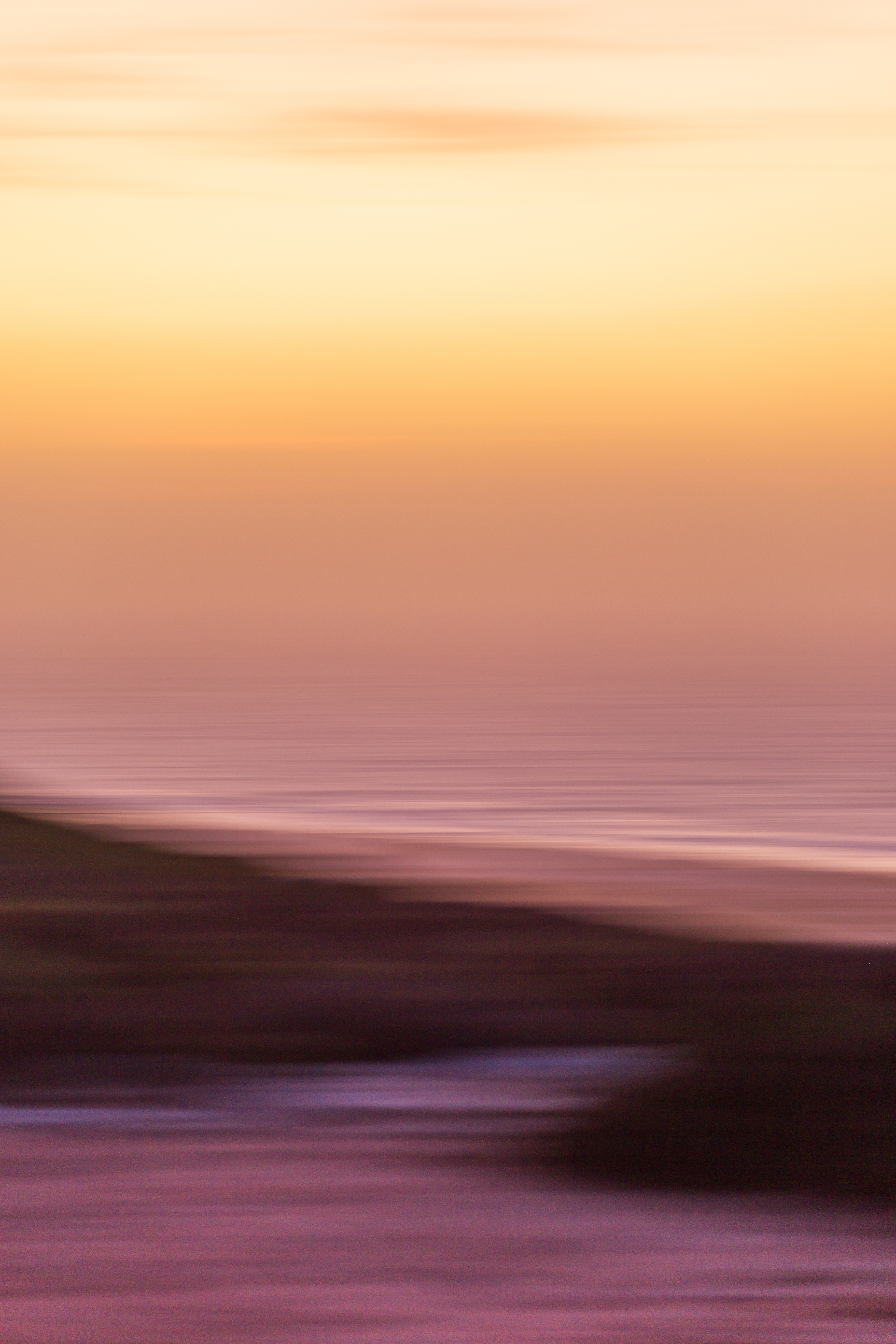 The Coast