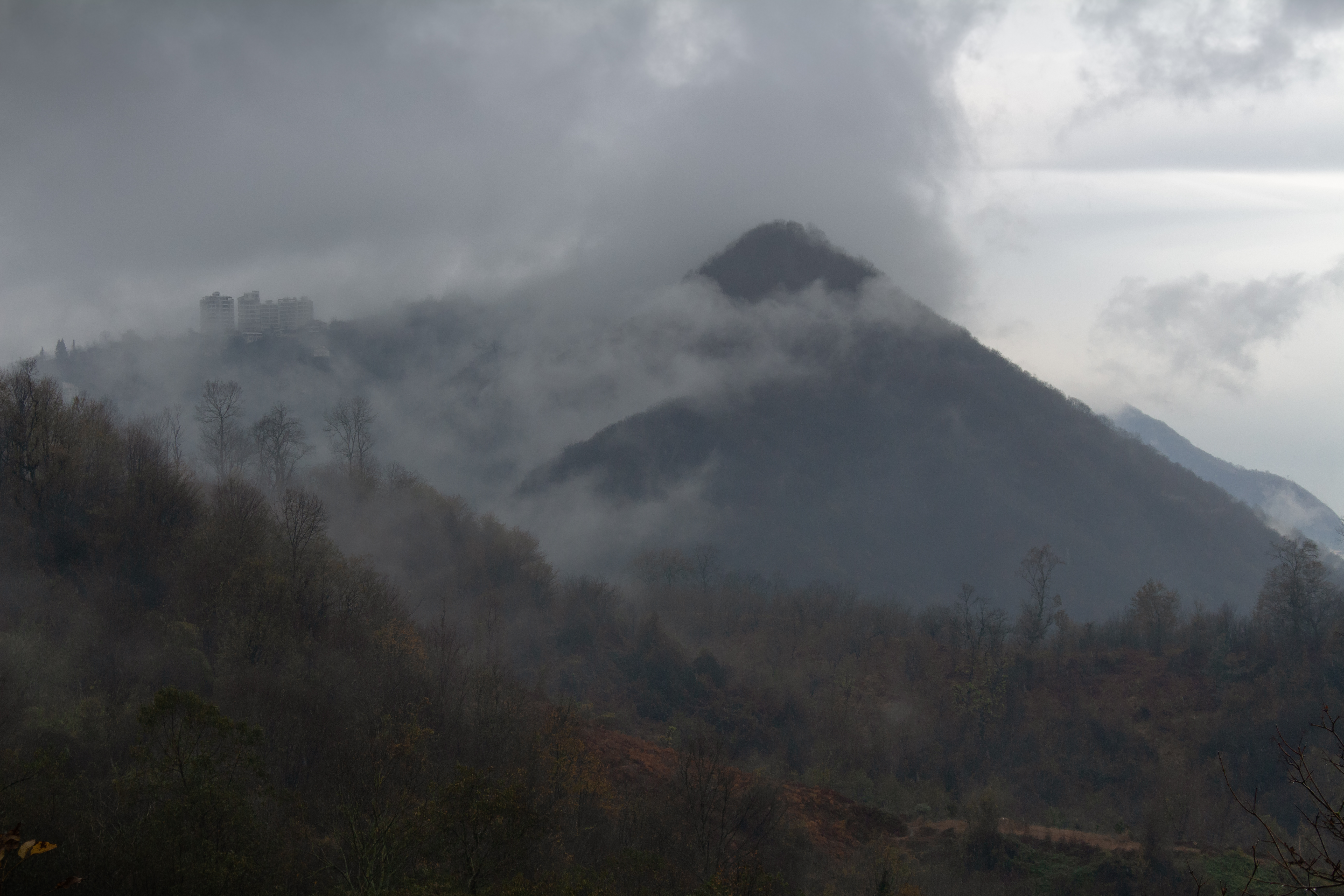 Embrace the fog in the dance of rain
